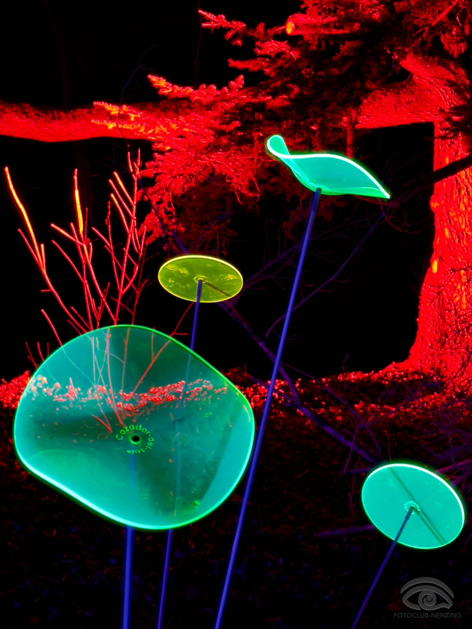 Nicole Berlinger - Farbenspiel