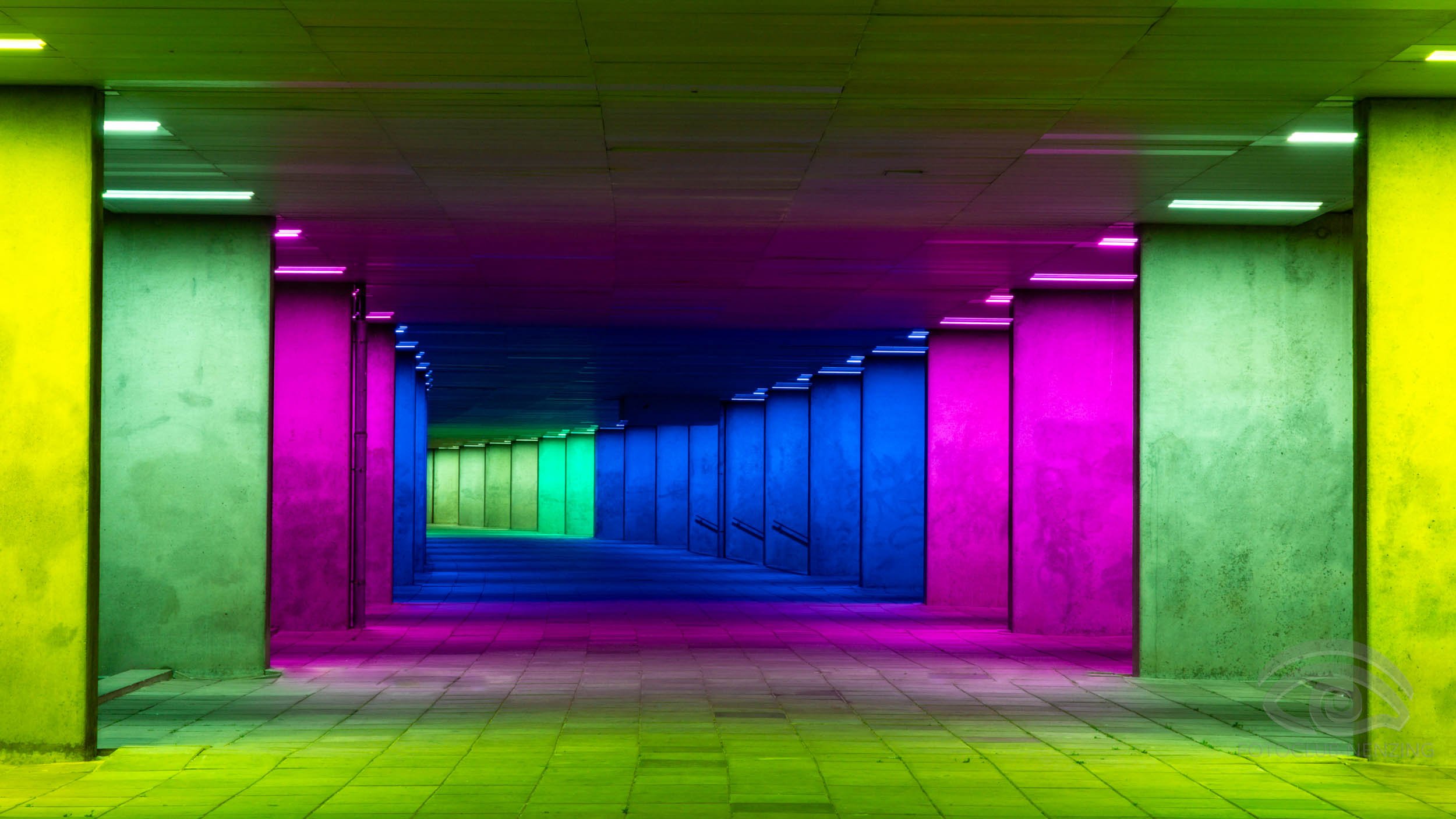 Charly Raser - Colorful Gallery