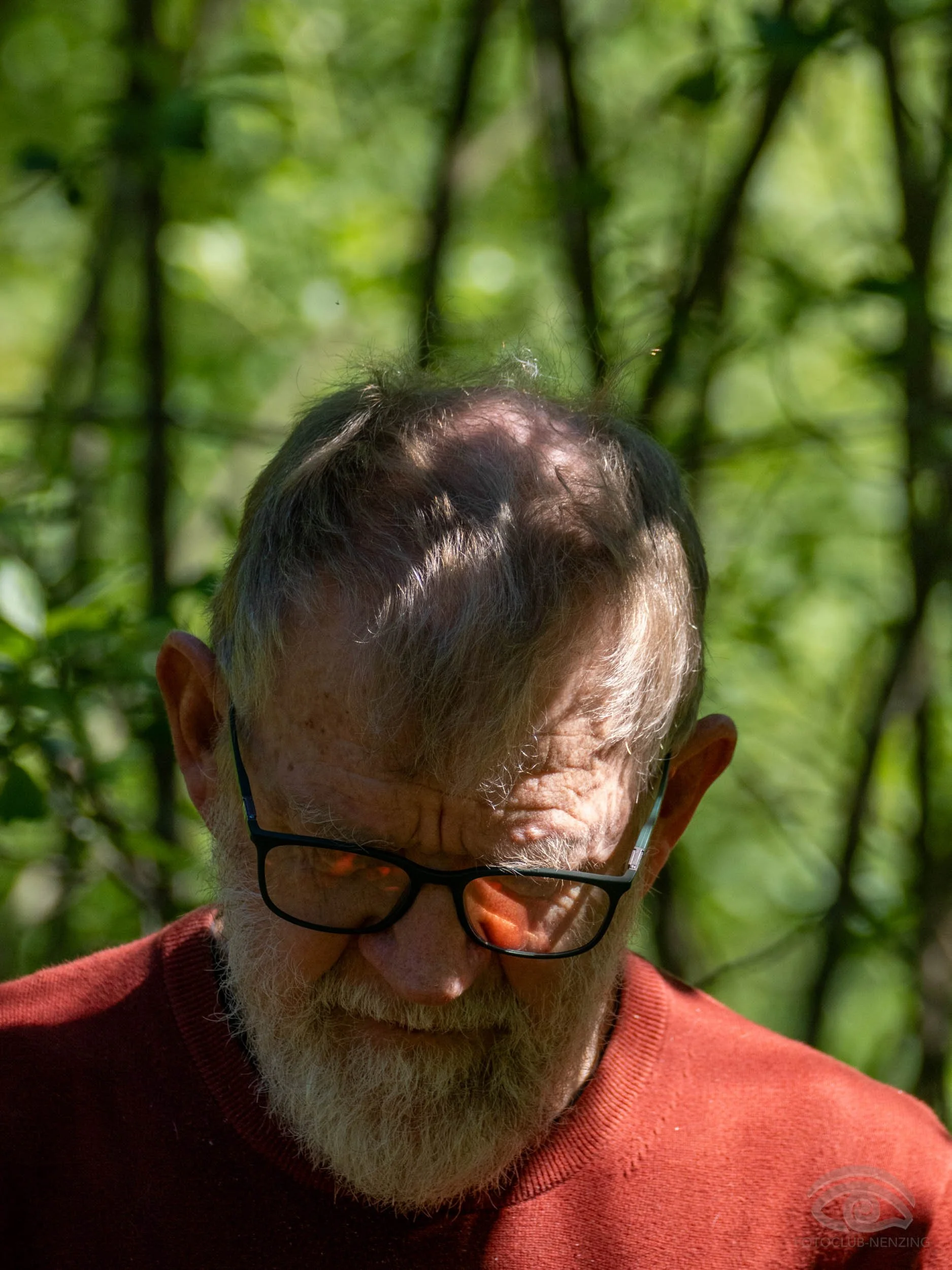 Bernhart Erich_Libellen (2 von 36).jpg