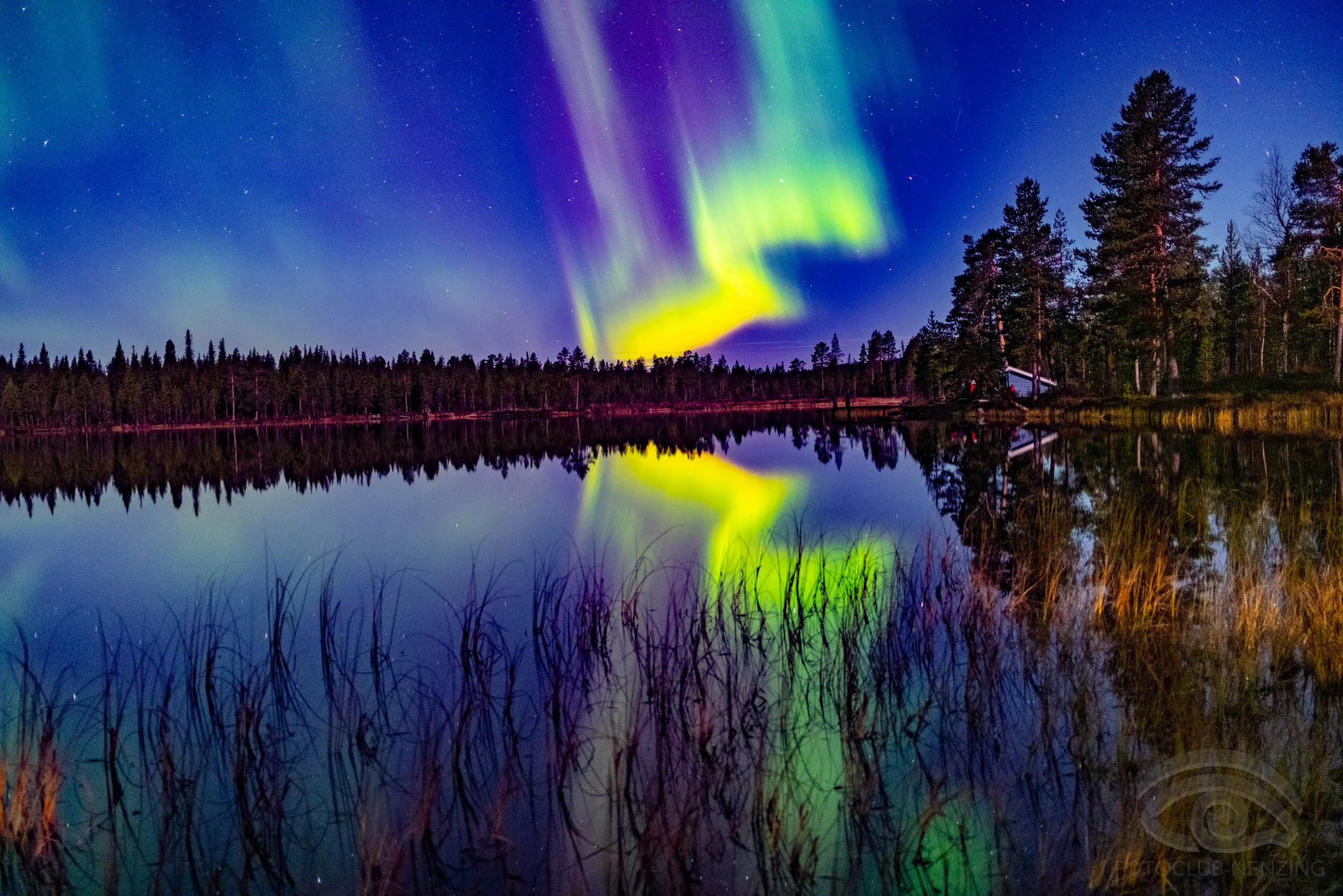 Kurt Schwaiger - Aurora