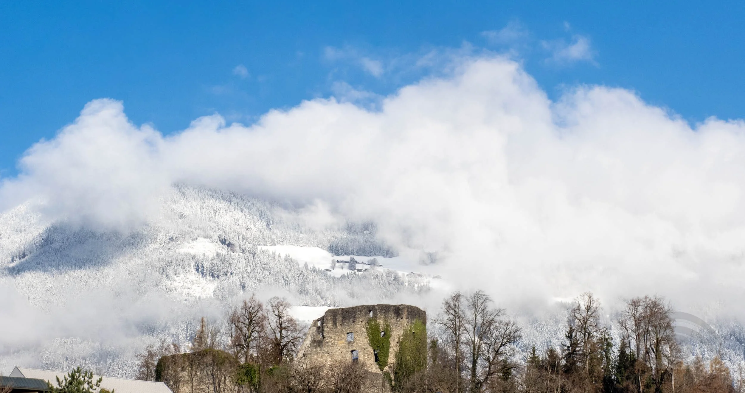 Erich Bernhart - Dünserberg