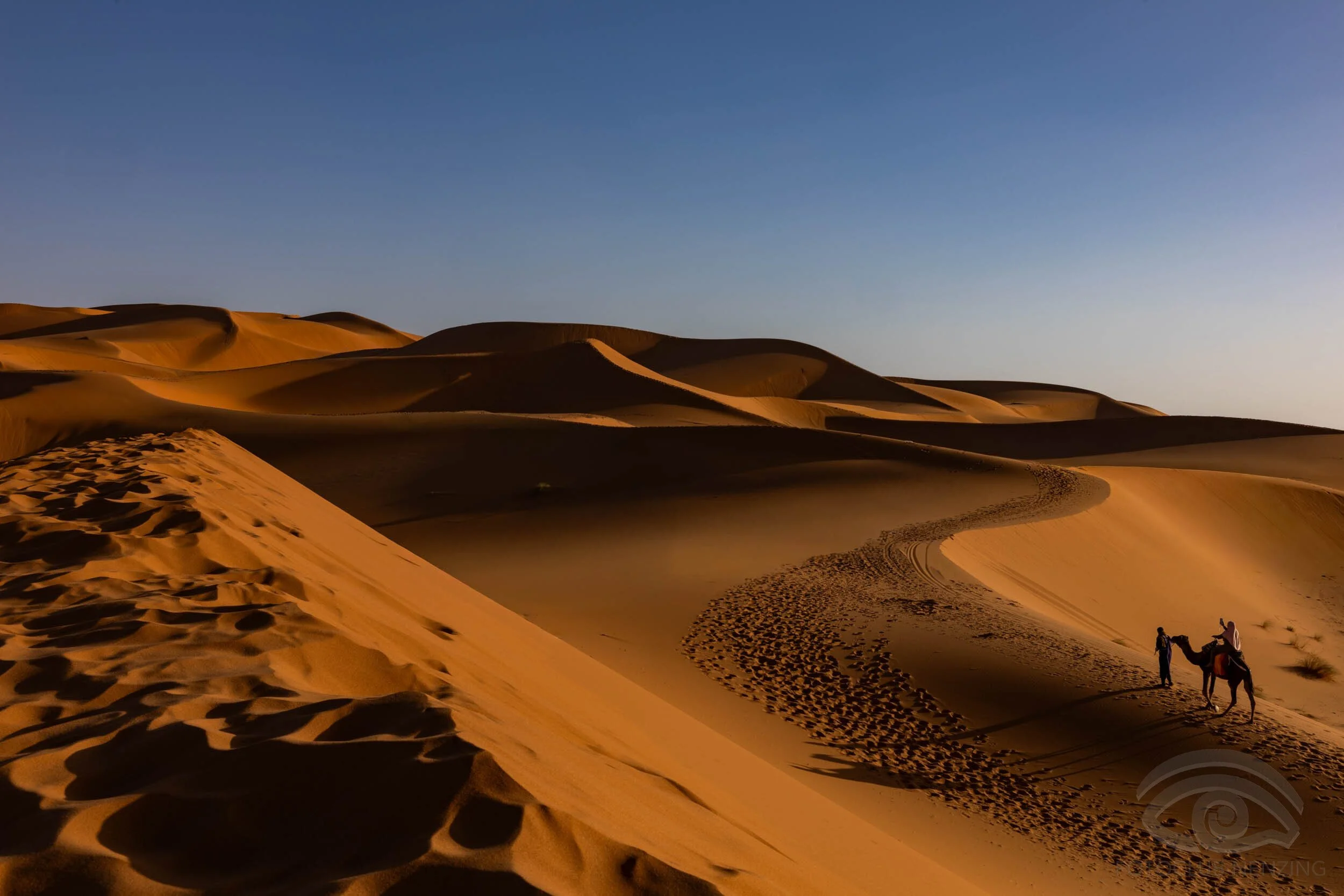 Rainer Schallert - Dunes