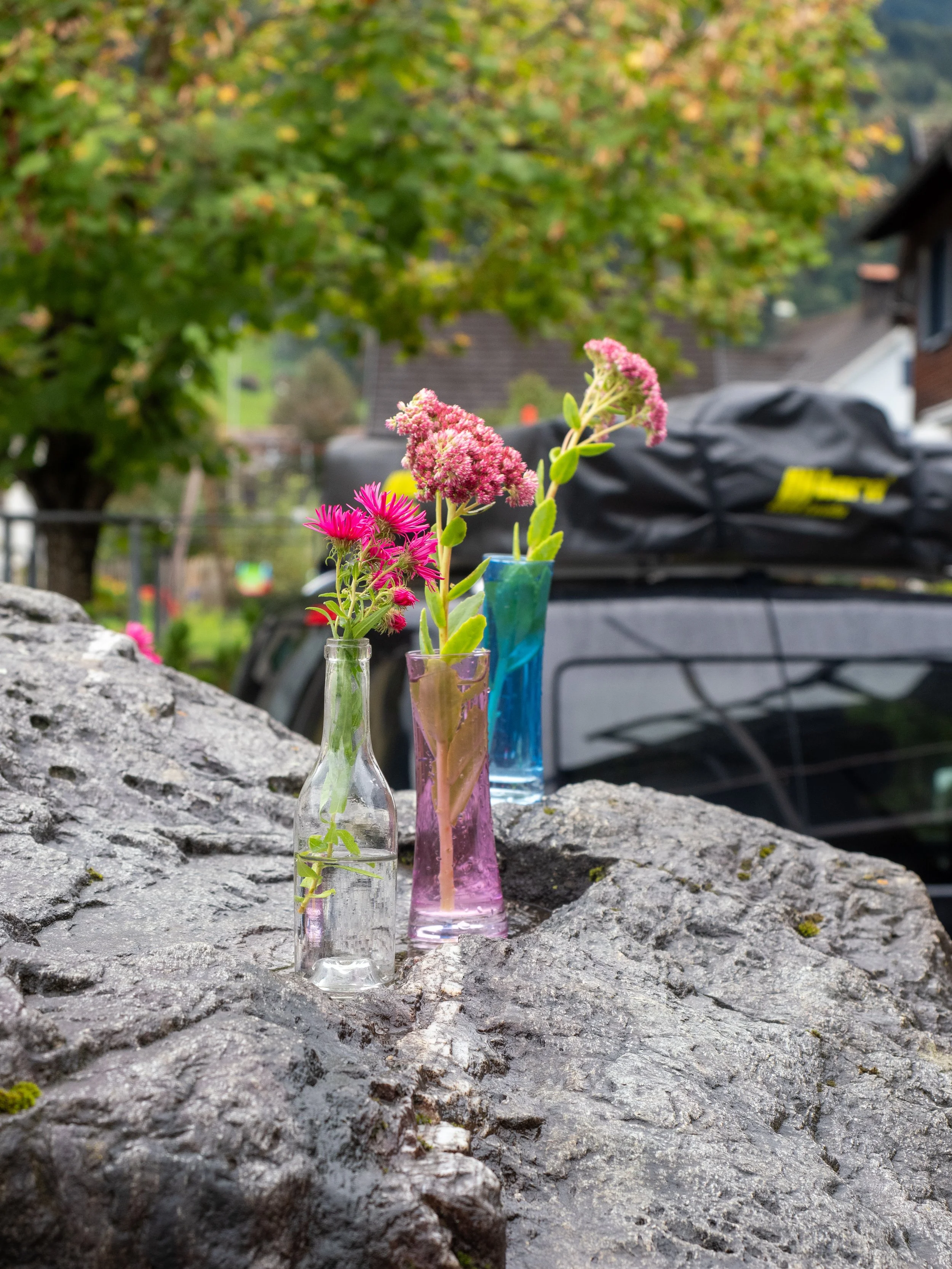 Bernhart Erich_ Kurs Teil 2 Praxis-9270033.jpg