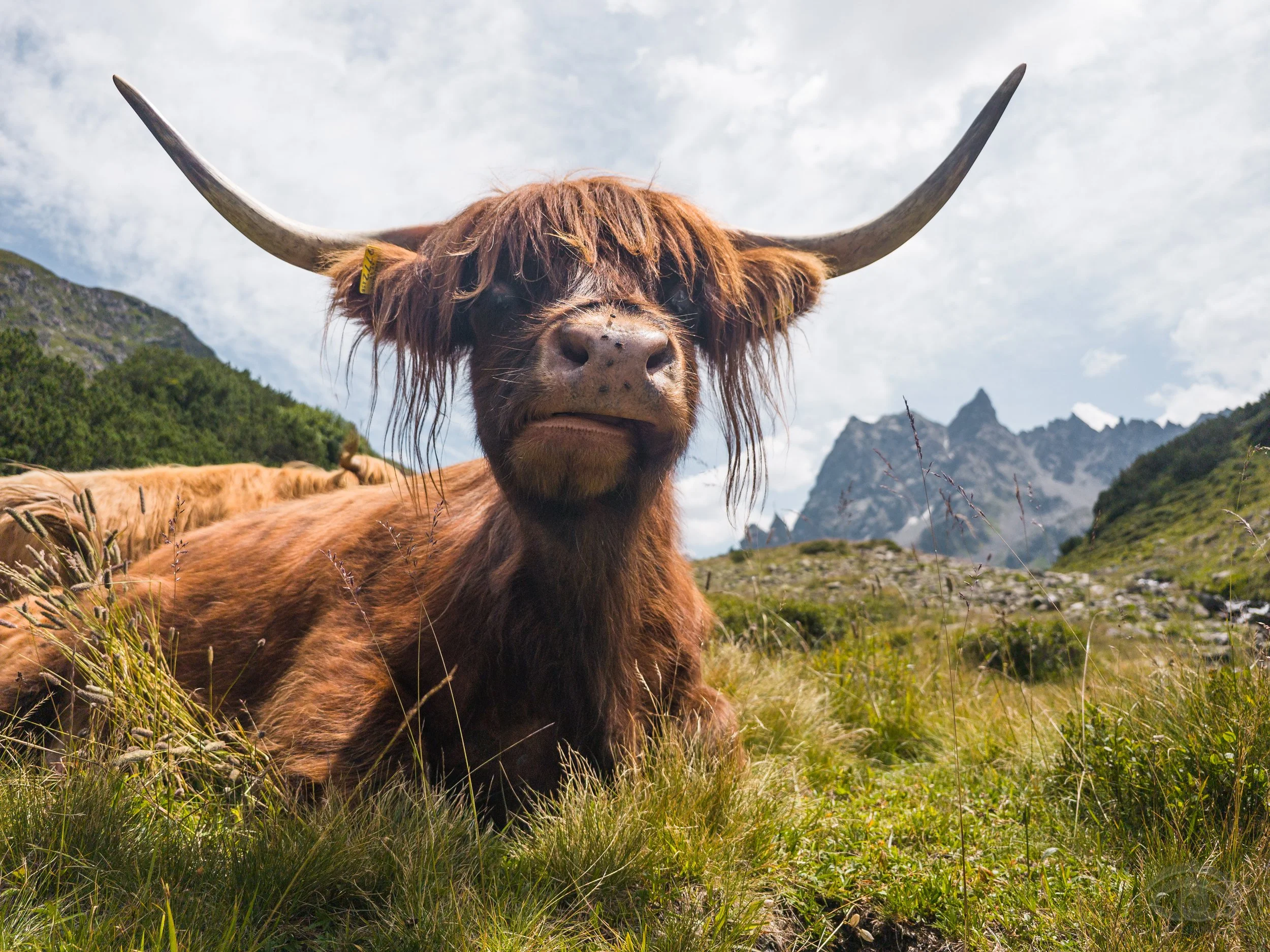 Andreas Gaßner - Peaks