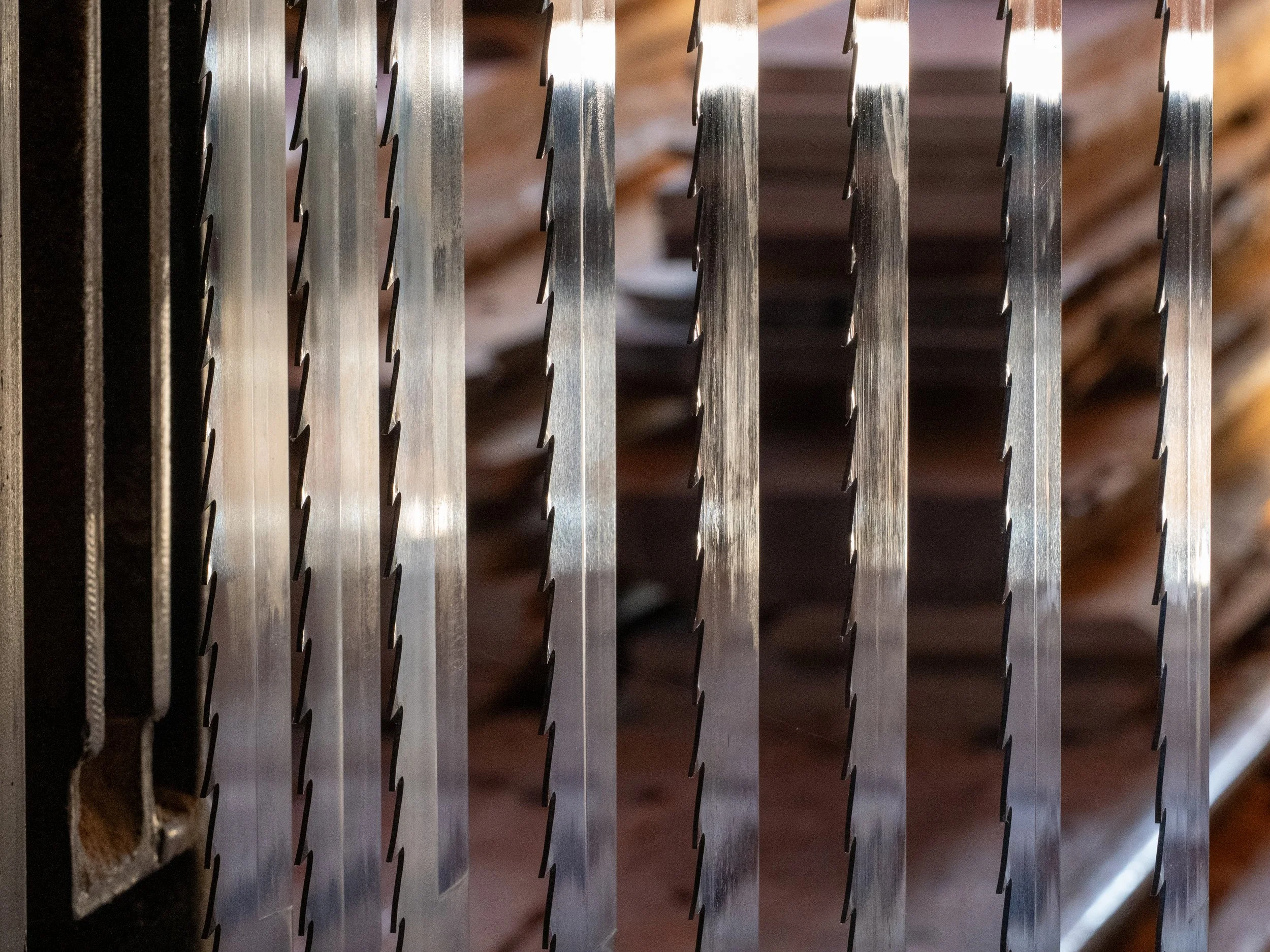 Bernhart Erich_Praxis Alte Säge -110408.jpg