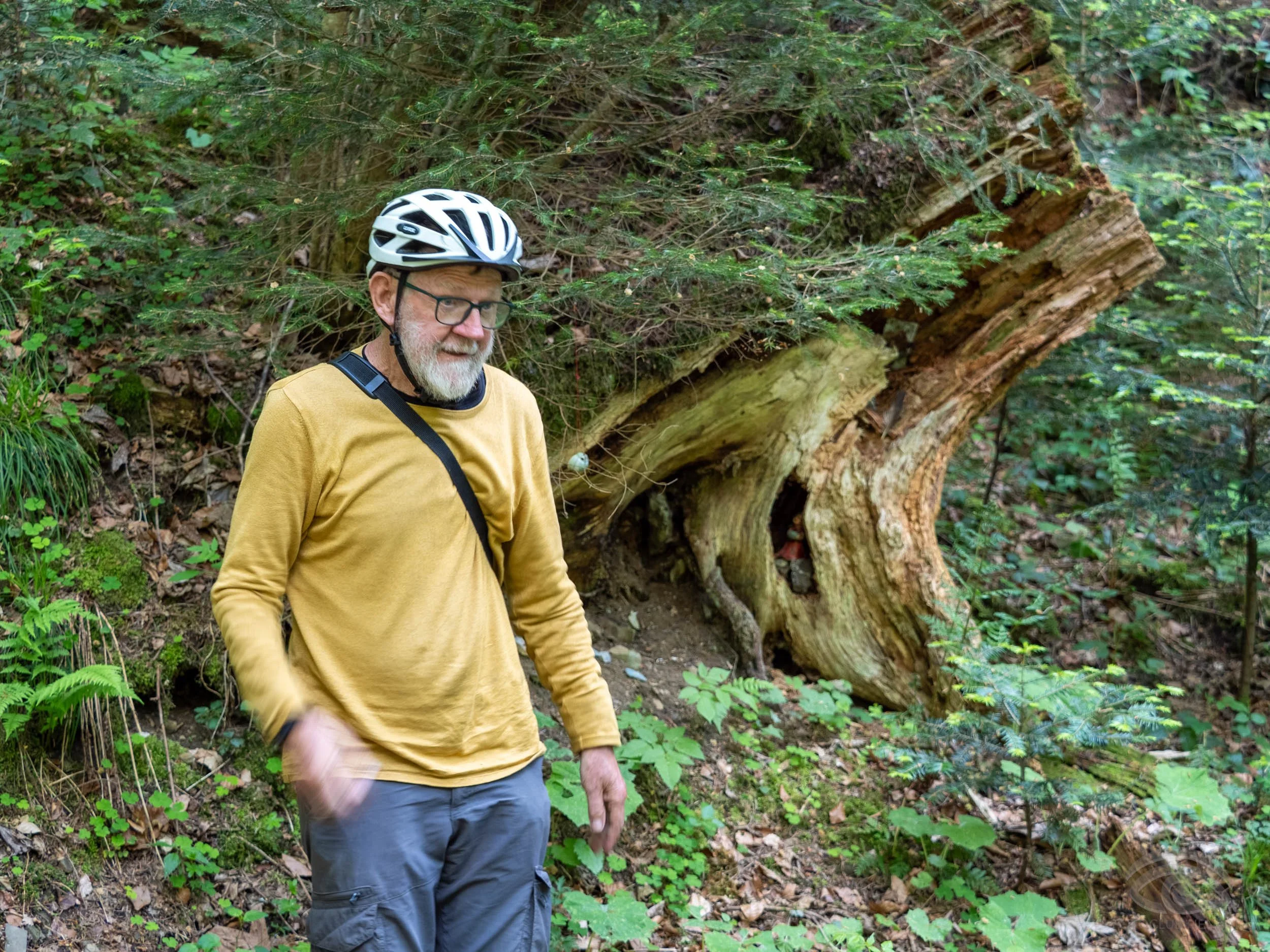 Bernhart Erich_Thüringer Weiher (37 von 39).jpg
