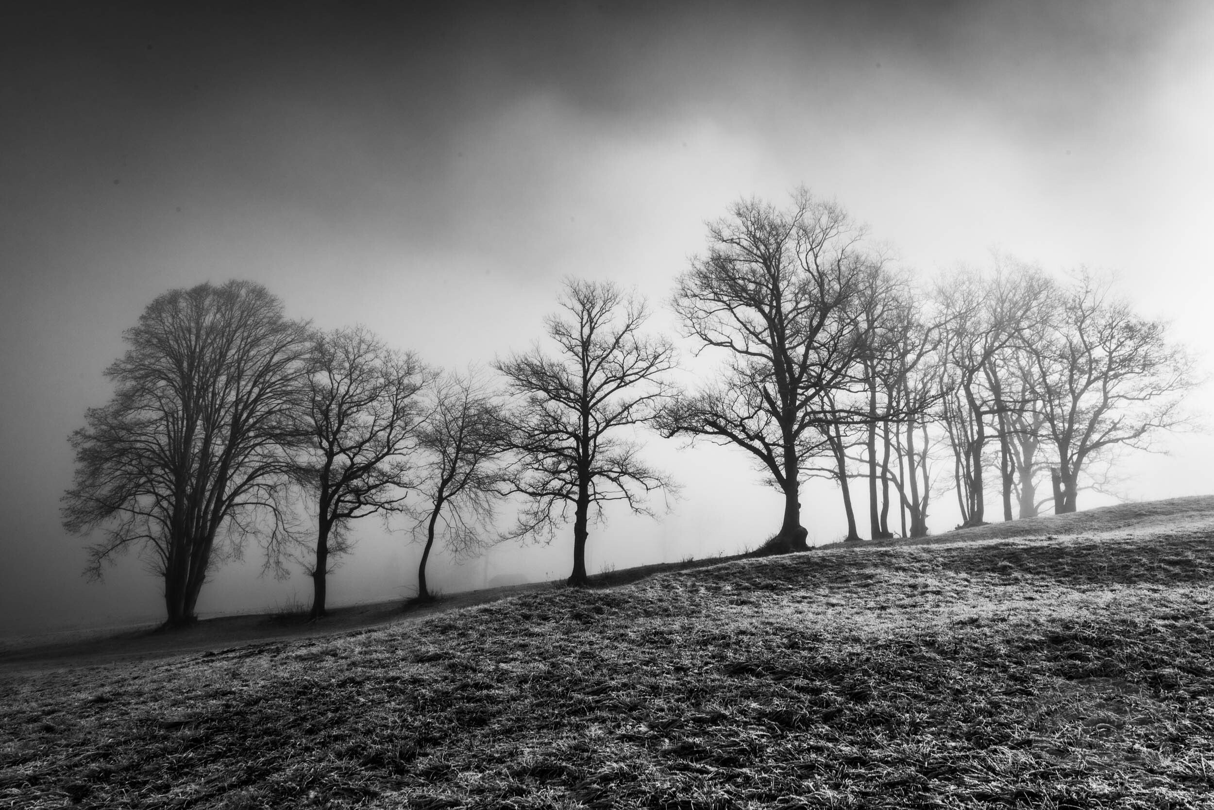 Wilfling Werner - Parade