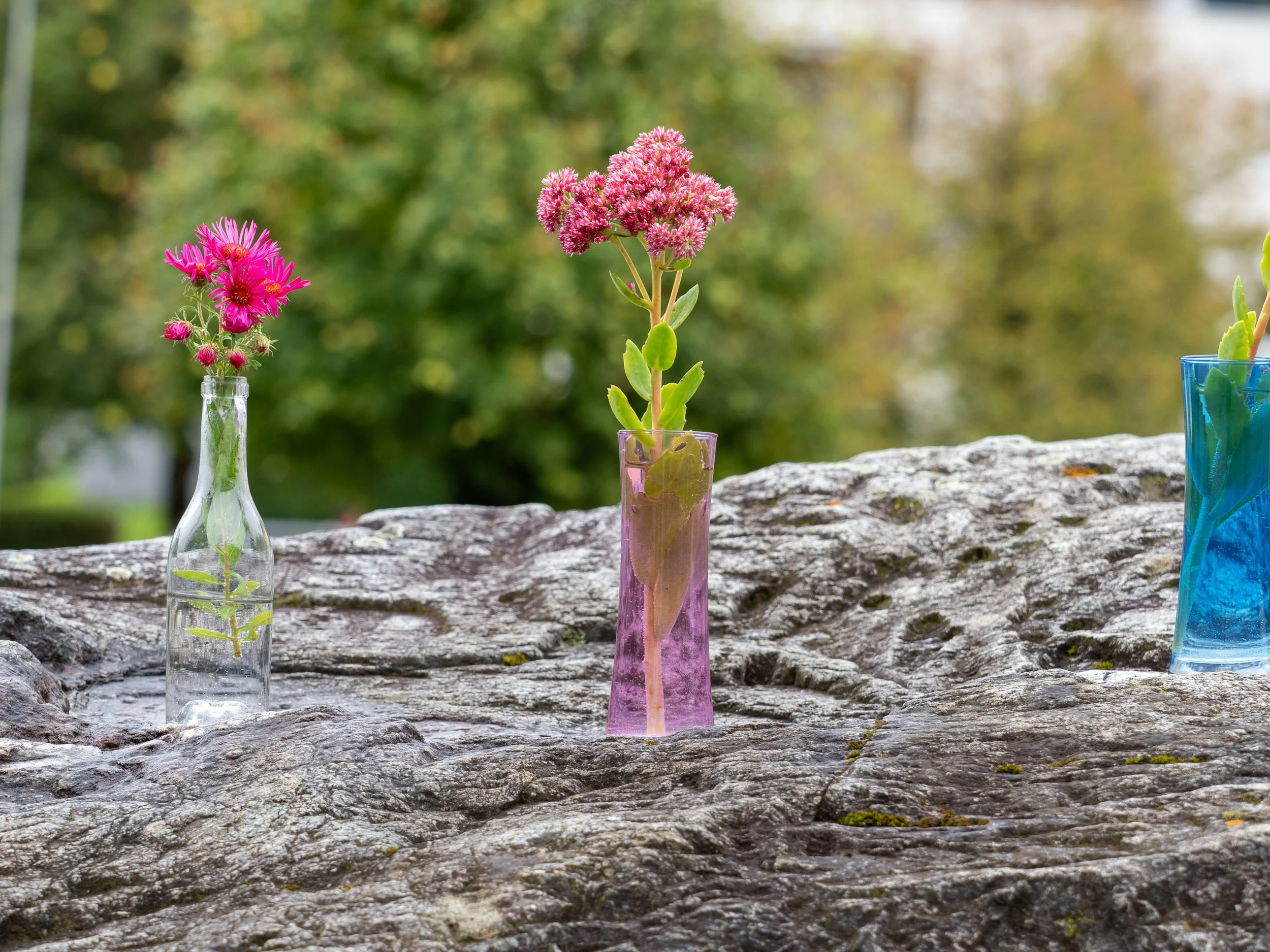 Bernhart Erich_ Kurs Teil 2 Praxis-9270233.jpg