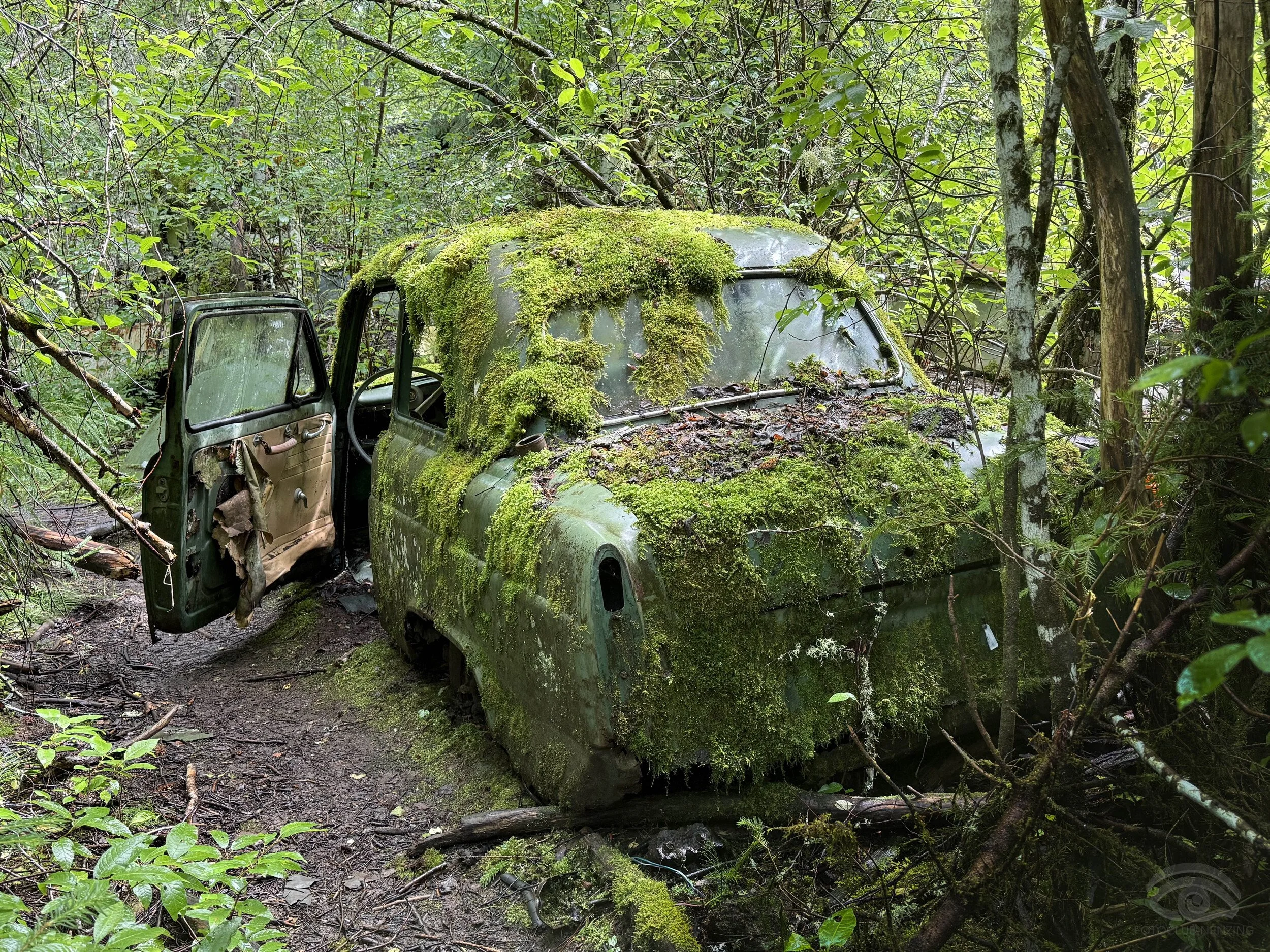 Nicole Berlinger - Im Wandel