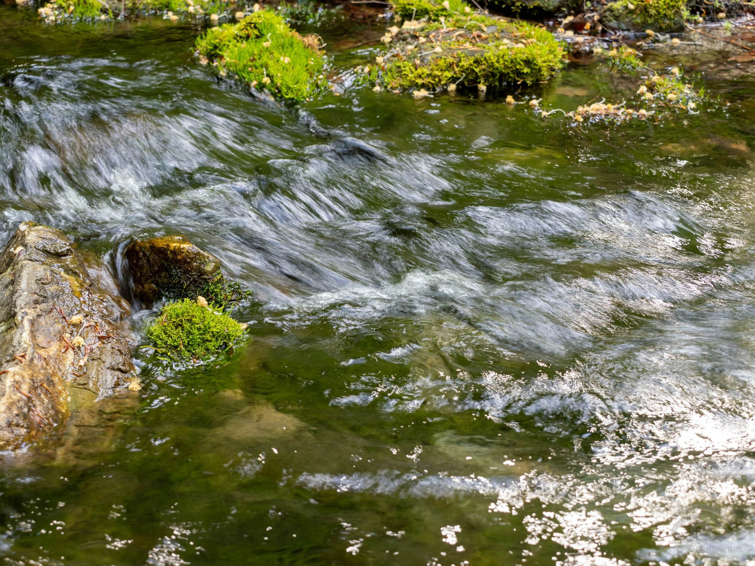 Bernhart Erich_Thüringer Weiher (38 von 39).jpg