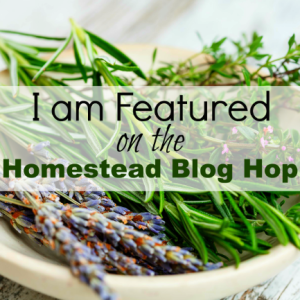 Hometead-Blog-Hop-Featured-Badge.png