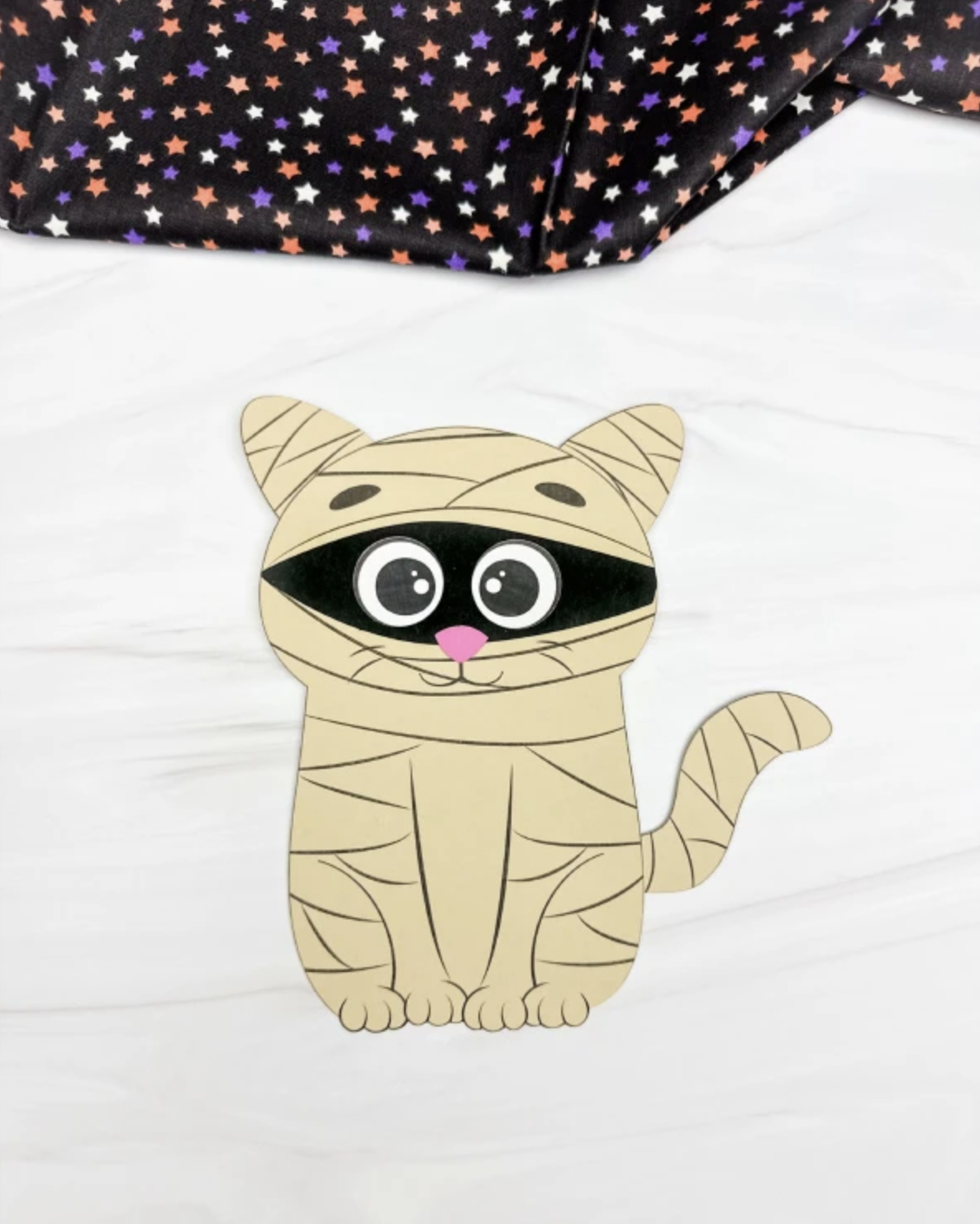 Cat Mummy Craft For Kids.png