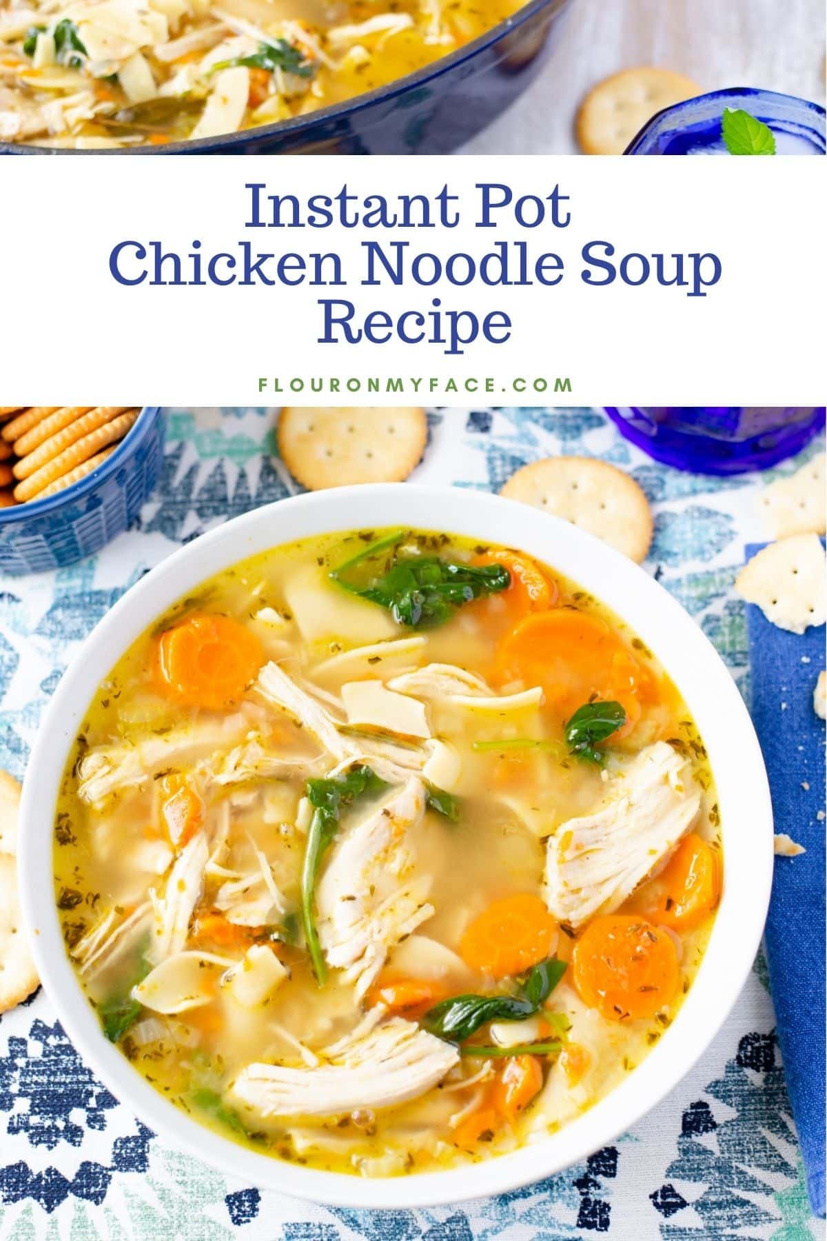 instant_pot_chicken_noodle_soup.jpg