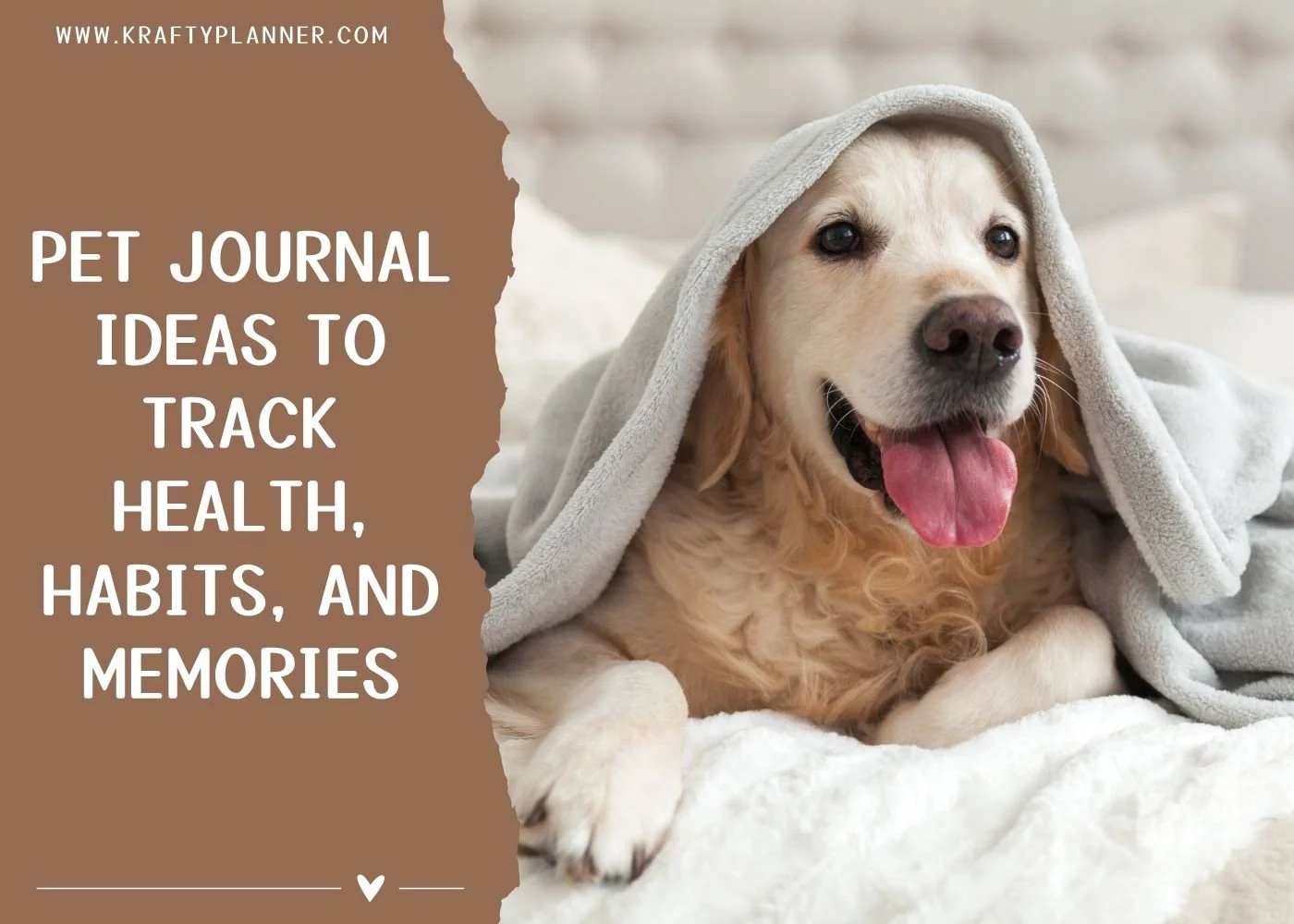 Pet Journal Ideas to Track Health, Habits, and Memories