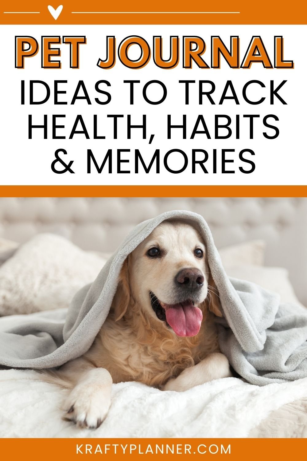 Pet Journal Ideas to Track Health, Habits, and Memories.jpg