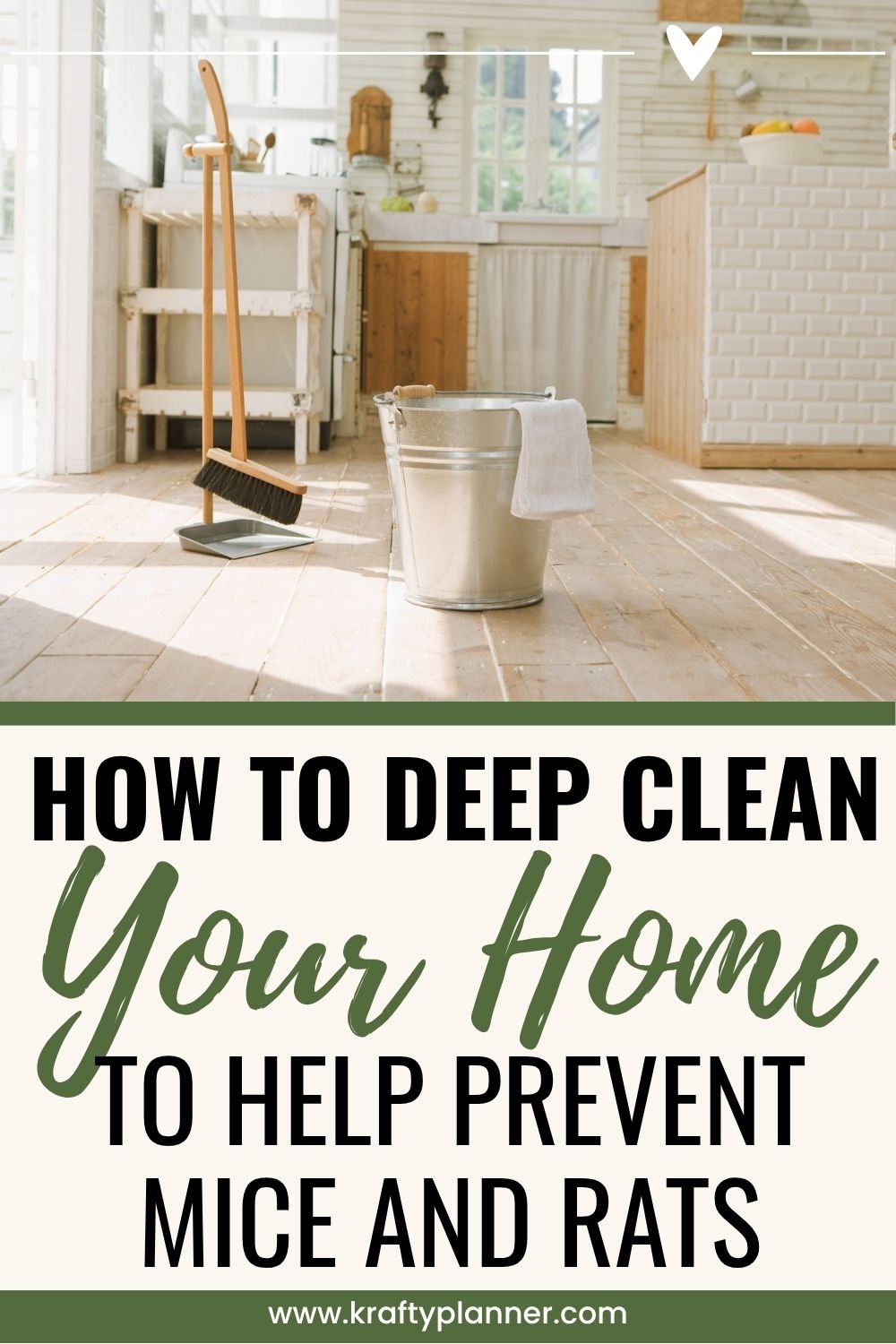 How to Deep Clean Your Home to Help Prevent Rats 3.jpg