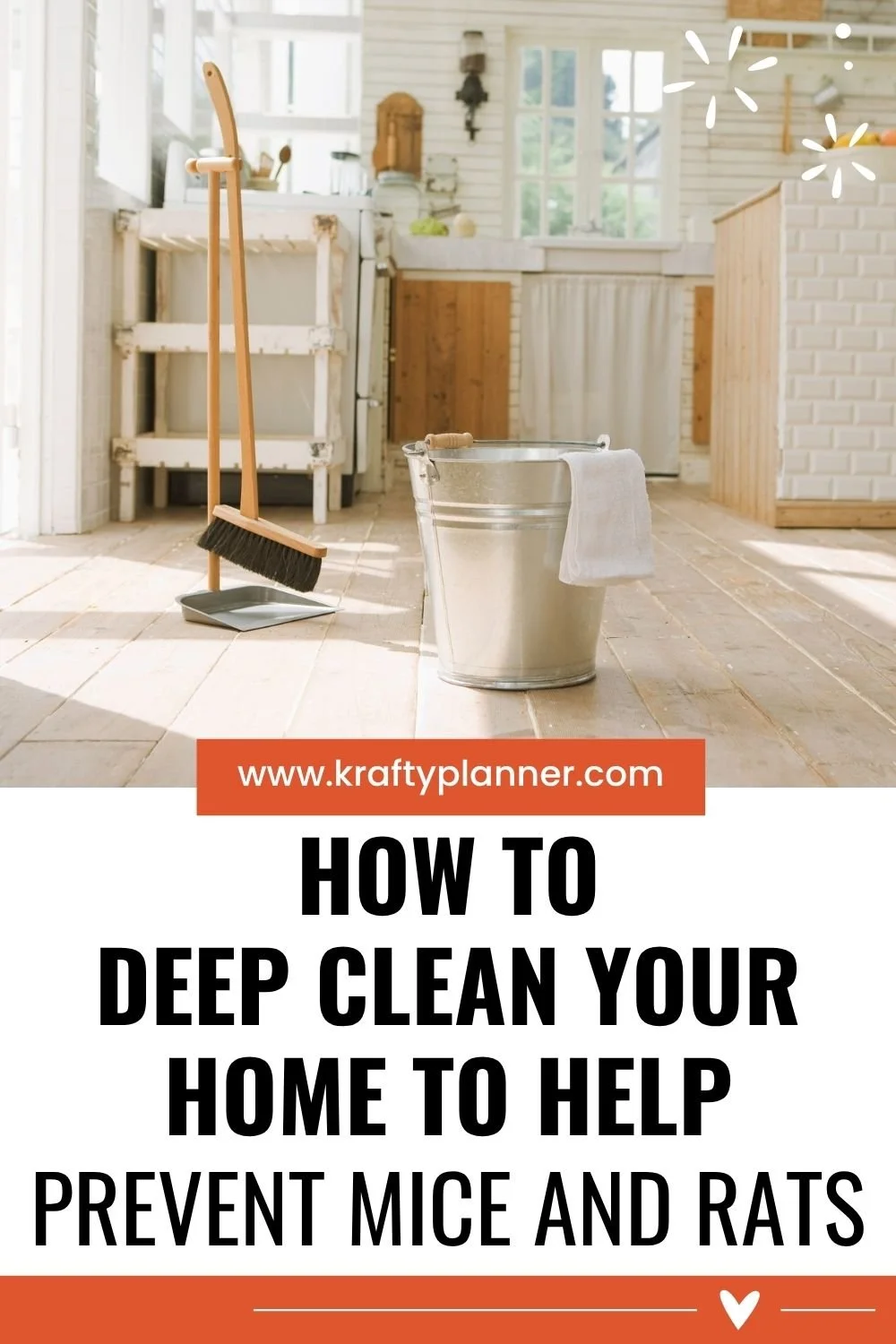 How to Deep Clean Your Home to Help Prevent Rats 4.jpg