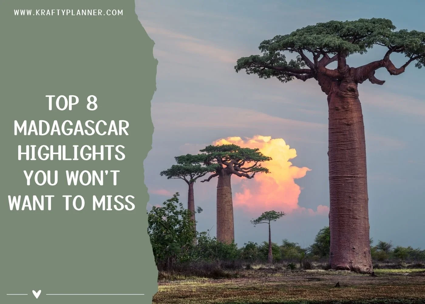 TOP 8 Madagascar Highlights You Won't Want to Miss