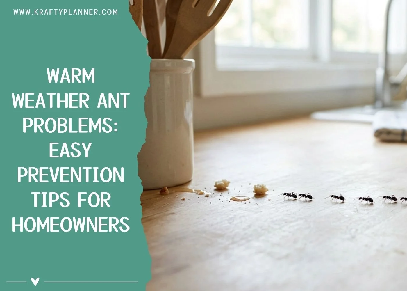 Warm Weather Ant Problems: Easy Prevention Tips for Homeowners