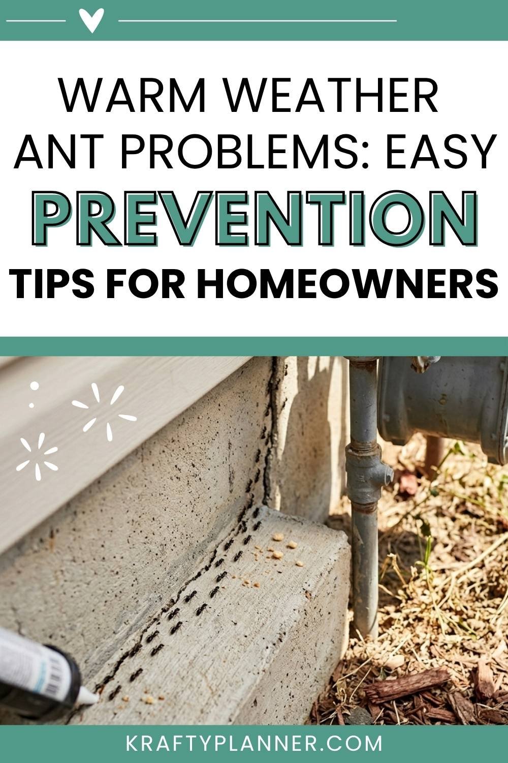 Warm Weather Ant Problems Easy Prevention Tips for Homeowners7.jpg