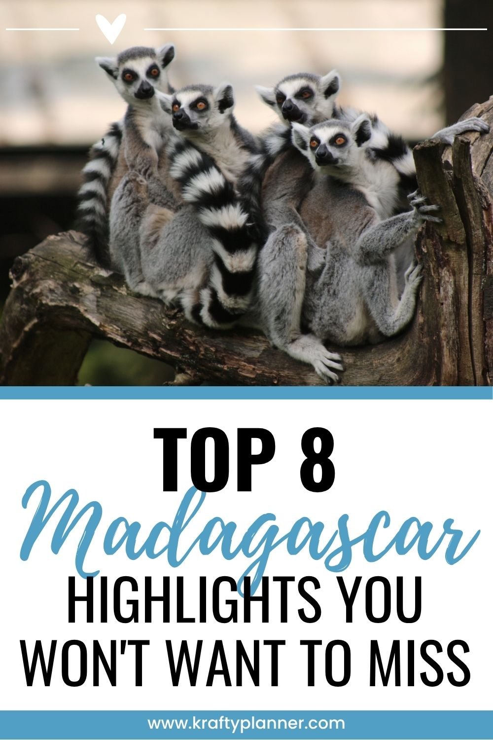 TOP 8 Madagascar Highlights You Won't Want to Miss