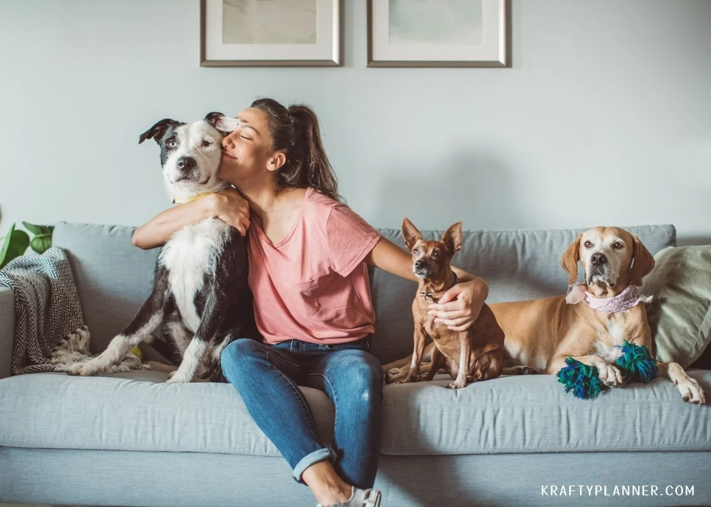 Pet Journal Ideas to Track Health, Habits, and Memories