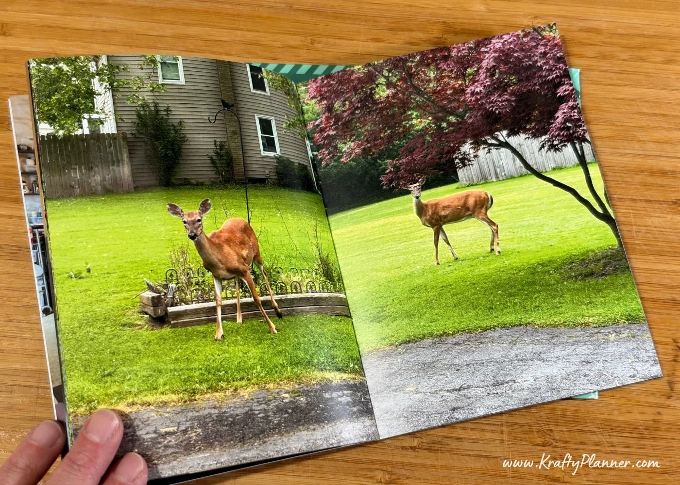 How to Turn Family Photos into Beautiful Photo Books