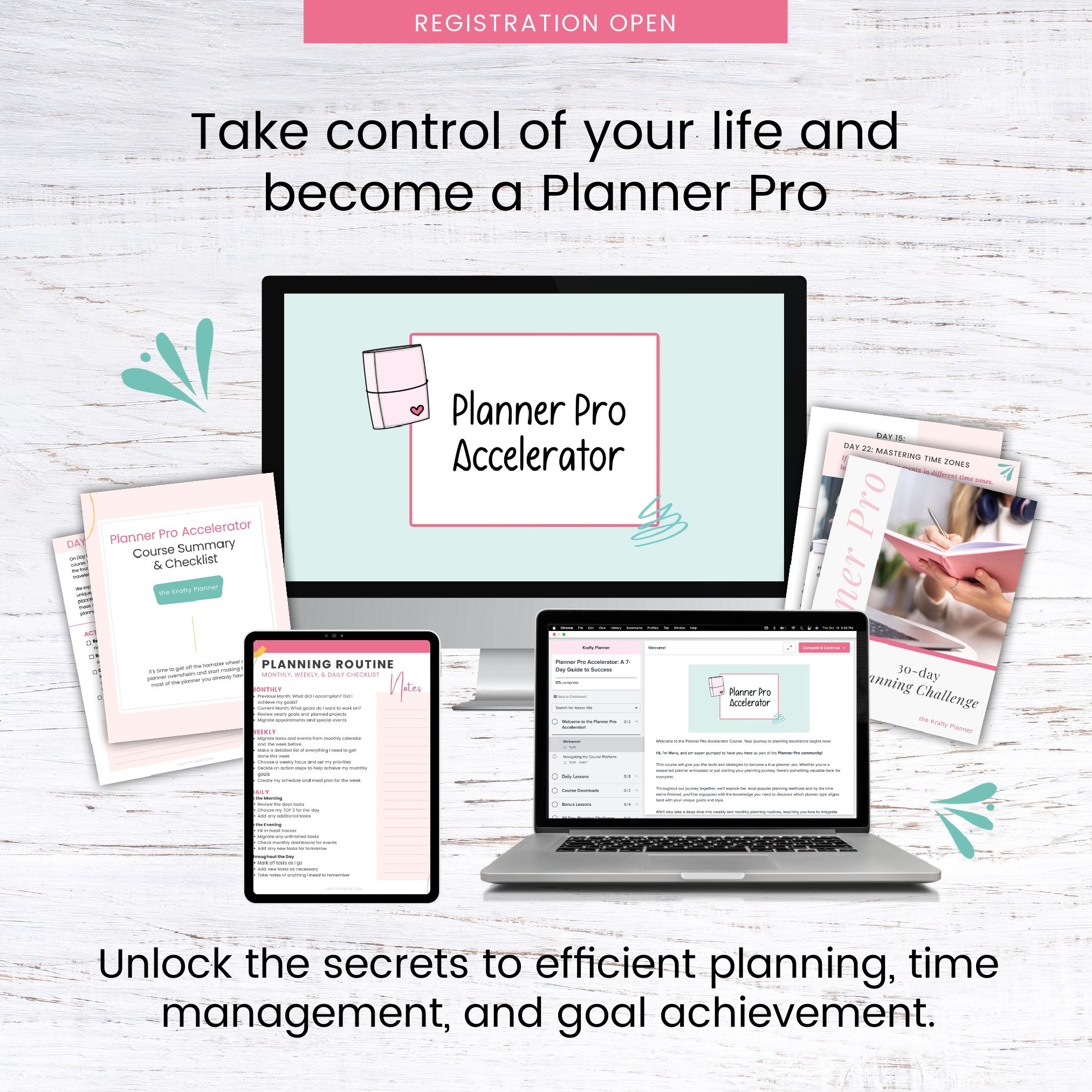 Planner Pro Accelerator: A 7 Day Guide to Success! — Krafty Planner