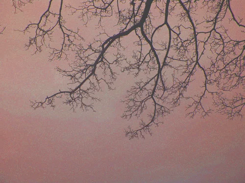 _20090224_001 small.jpg