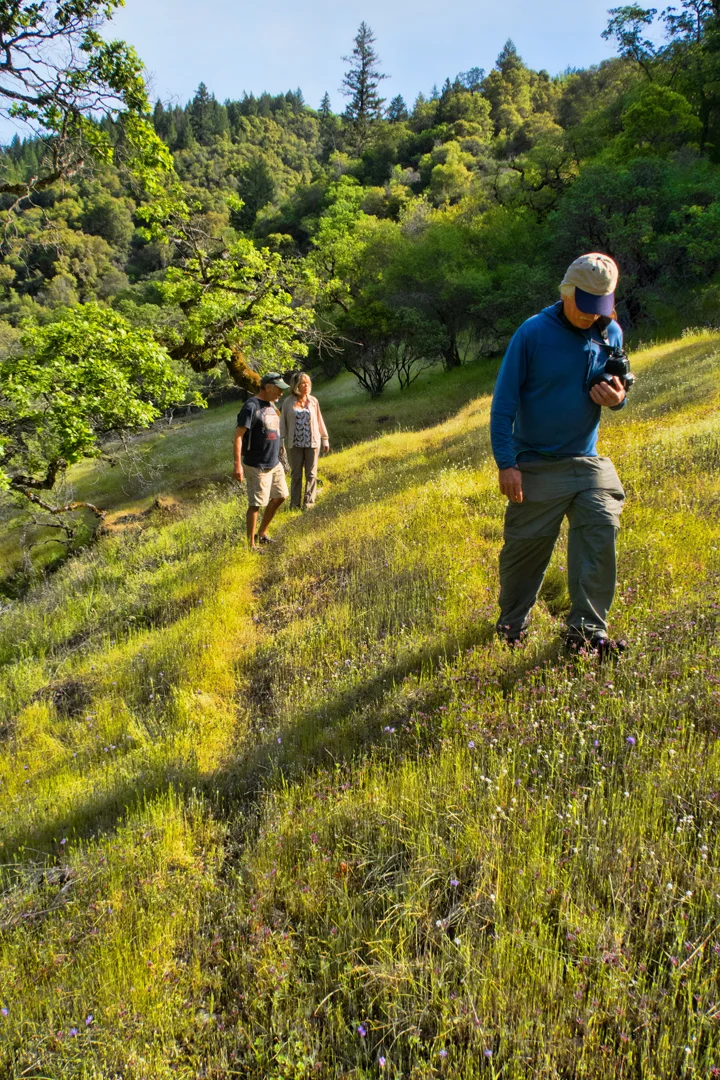 Hiking among the meadows of Lake Mendocino. Photo by June Ruckman