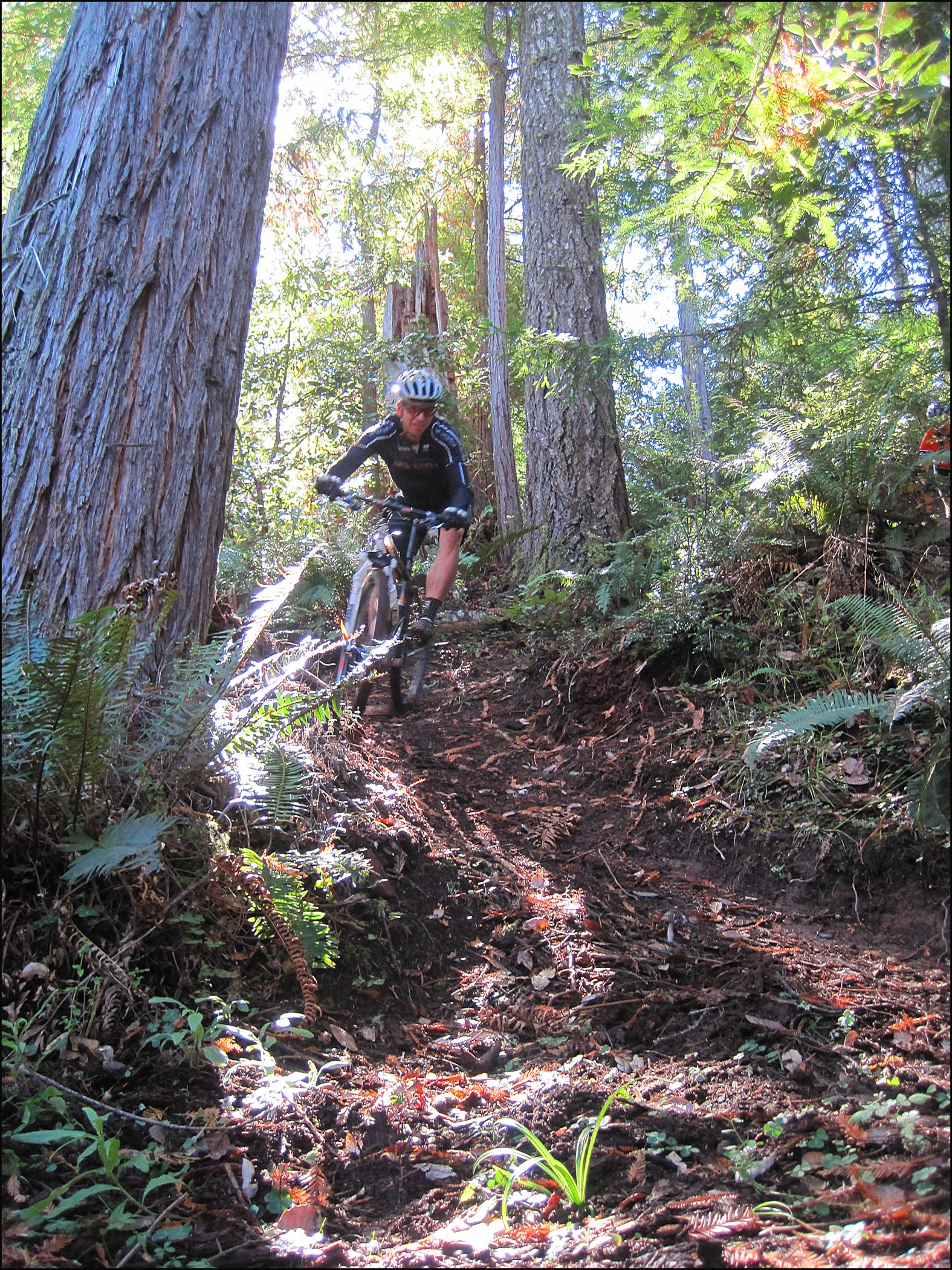 Singletrack mountain biking in Jackson State Forest. Photo by Roo Harris