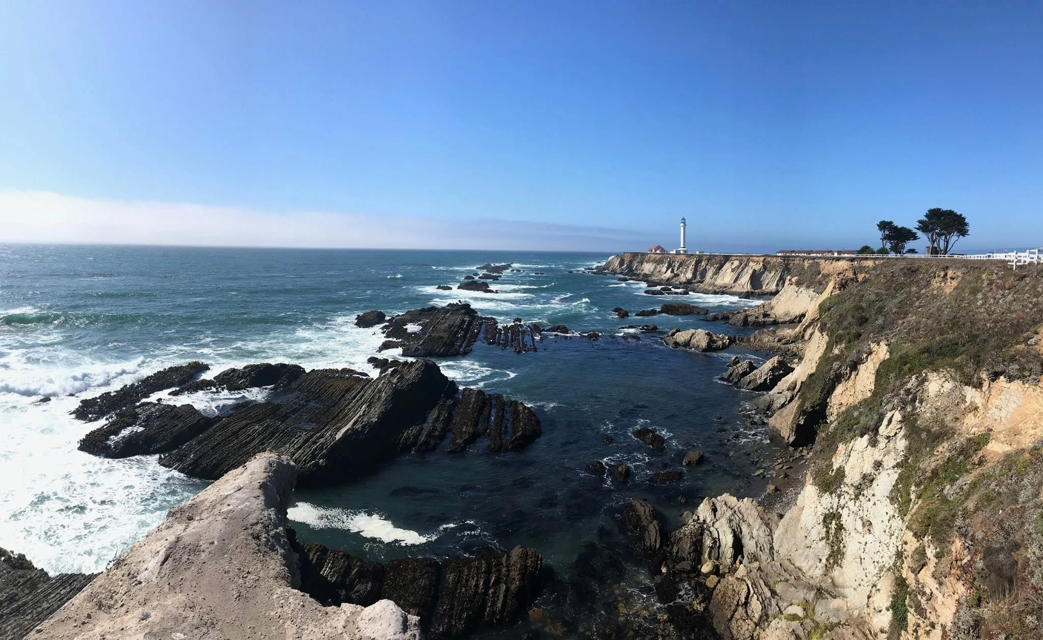 You can see the San Andreas Fault to the north of the Point Arena Lighthouse.