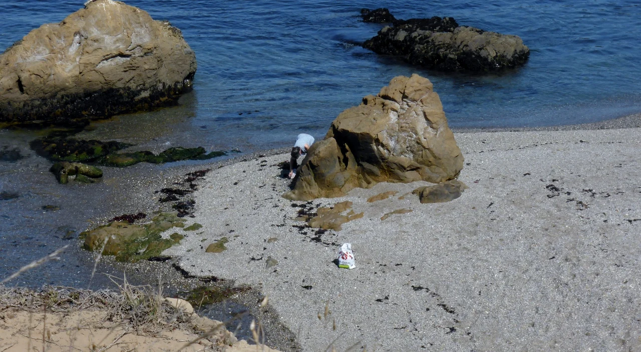 Beachcombers taking bags full of sea glass from Glass Beach.