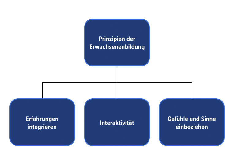 Erwachsenenbildung - Alaa Boutros.jpeg