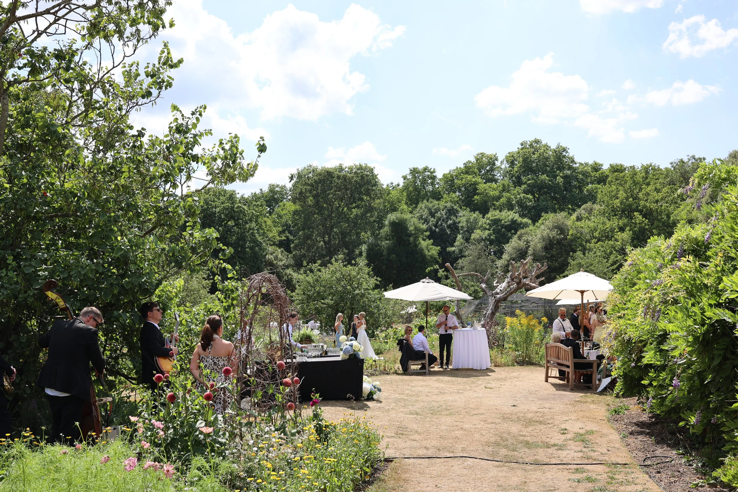 Fulham Palace Walled Garden 044A8856.jpg