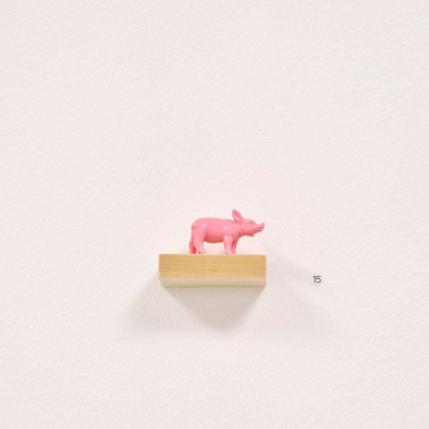 Last 2 days to catch Flying too Close to The Sun ☀️🦎❤️👗🦀🐷 @qssartstudios 

&lsquo;Muc (Pig)&rsquo;
Resin cast on wooden shelf 

#pig #farm #sculpture #installation #resin #cast #silicone #pink #visualart #art #artist #emergingartist #soloshow #ex