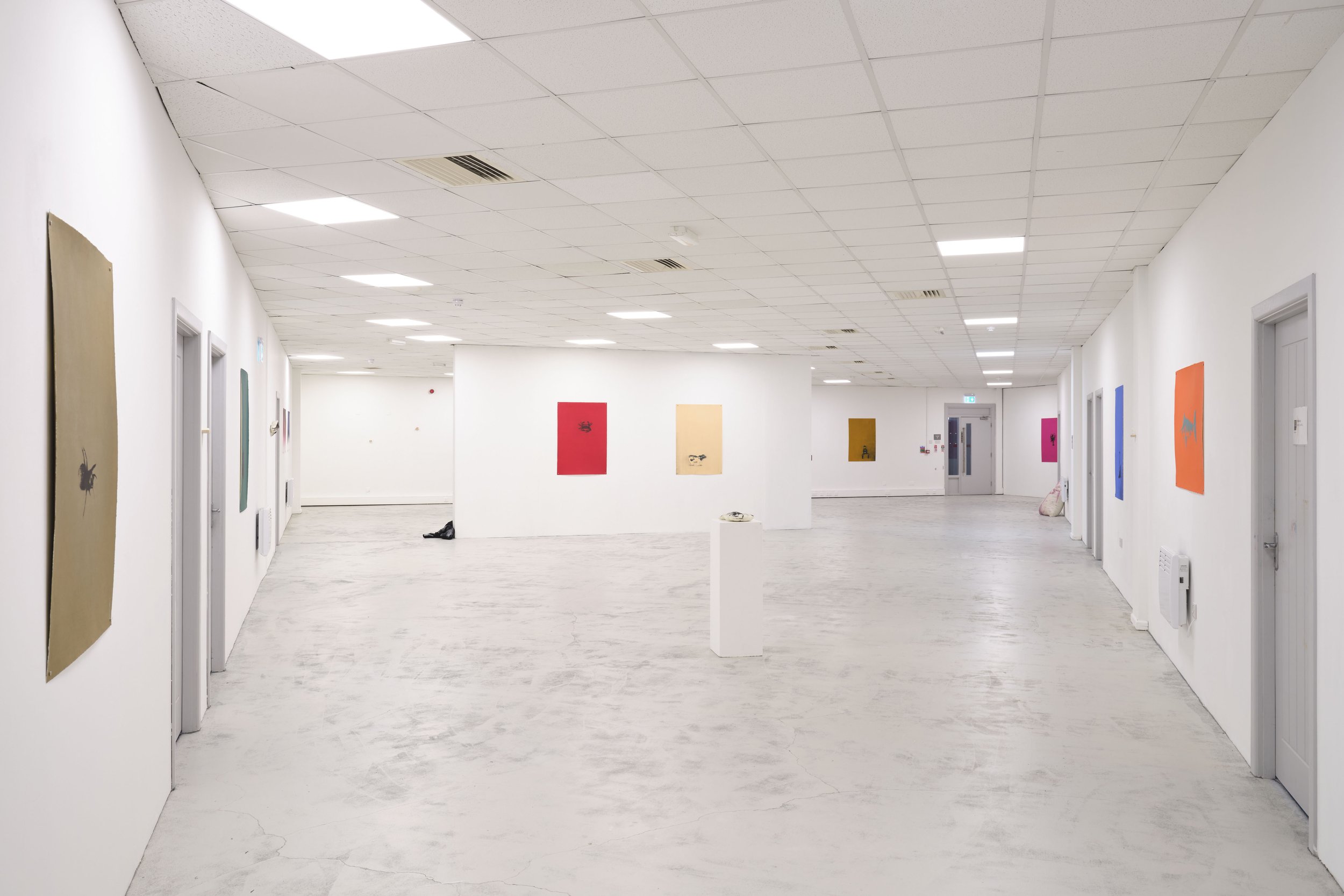 QSS Kathryn Graham installation shot .jpg
