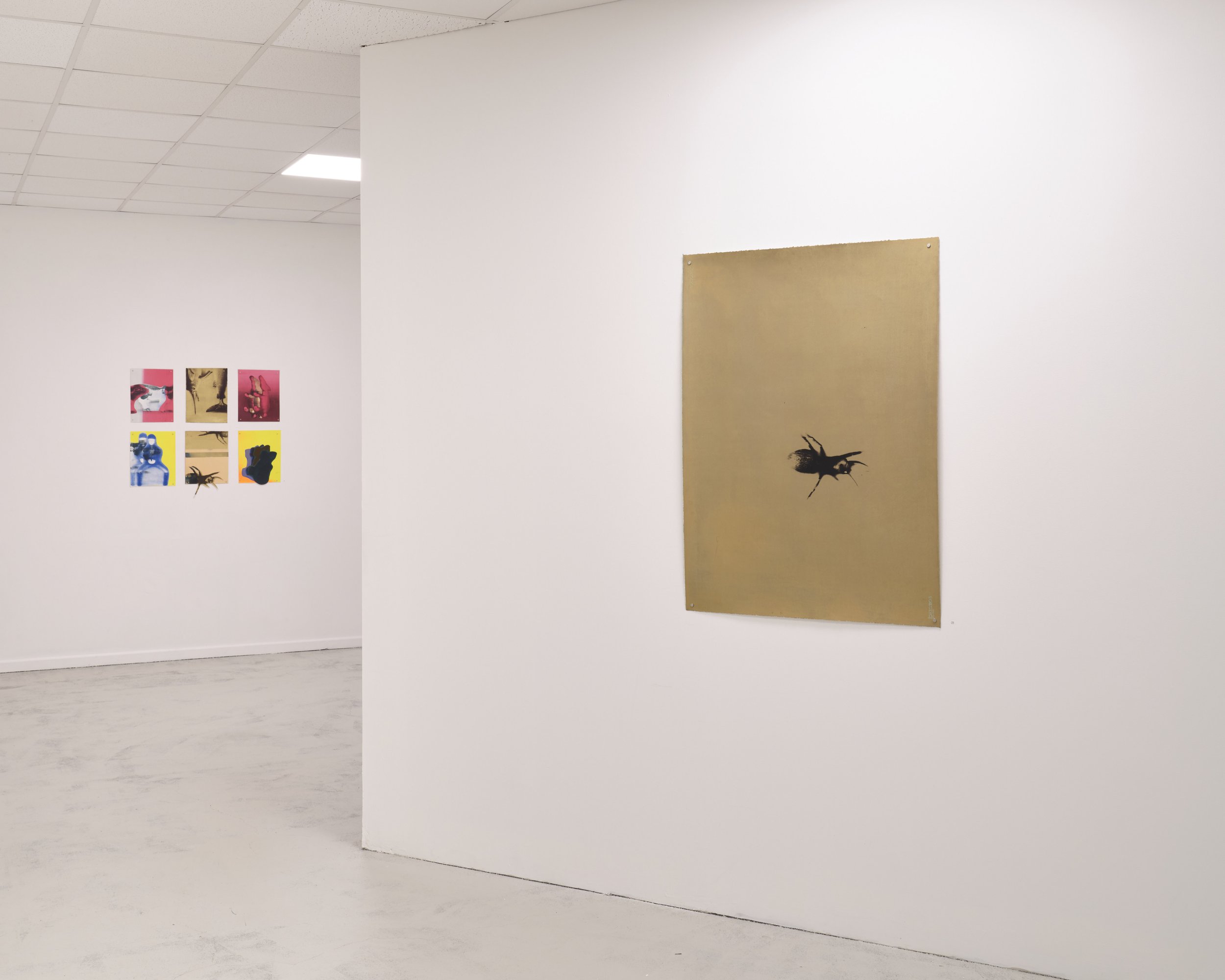 QSS Kathryn Graham installation 2.jpg