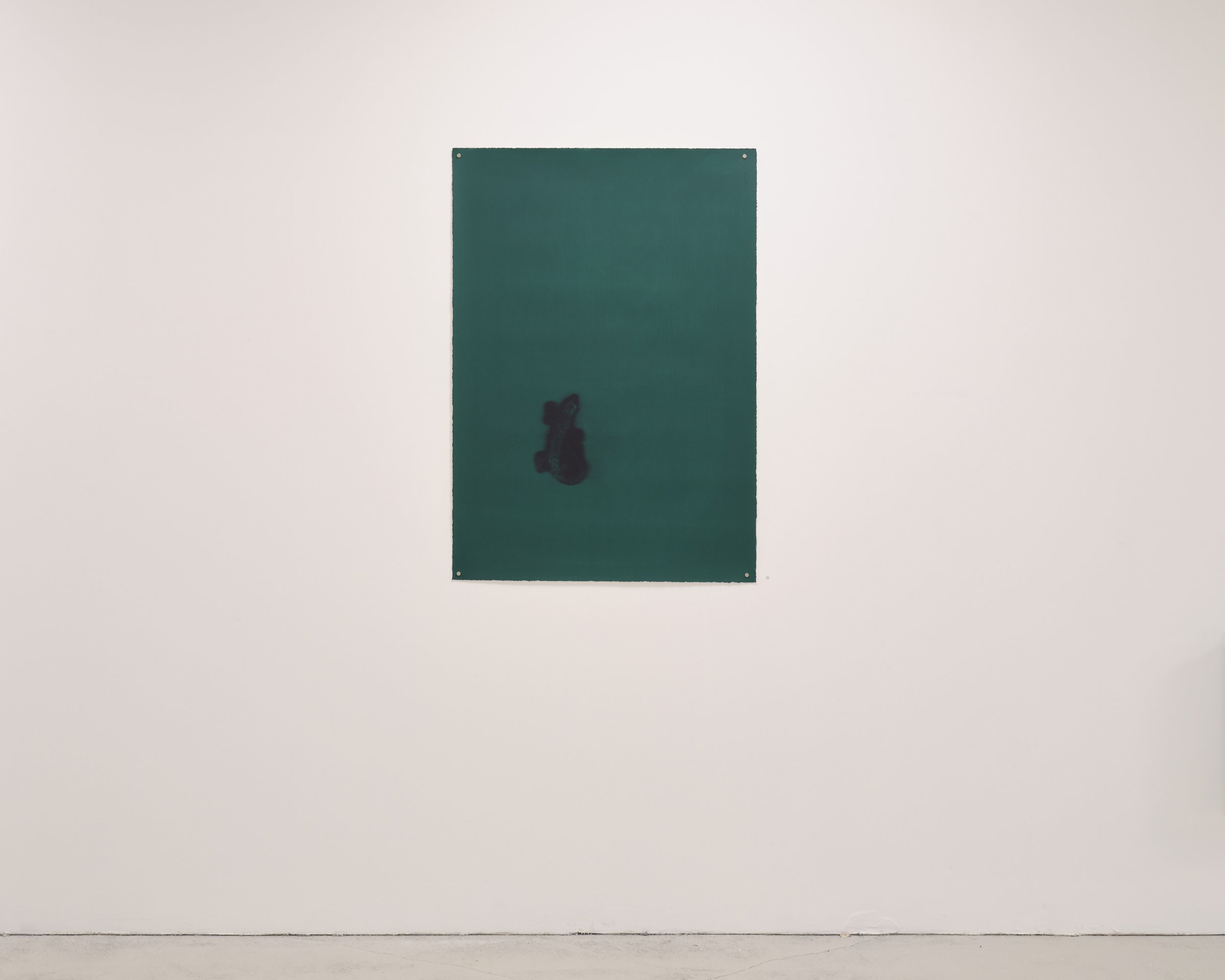 QSS Kathryn Graham green lizard.jpg