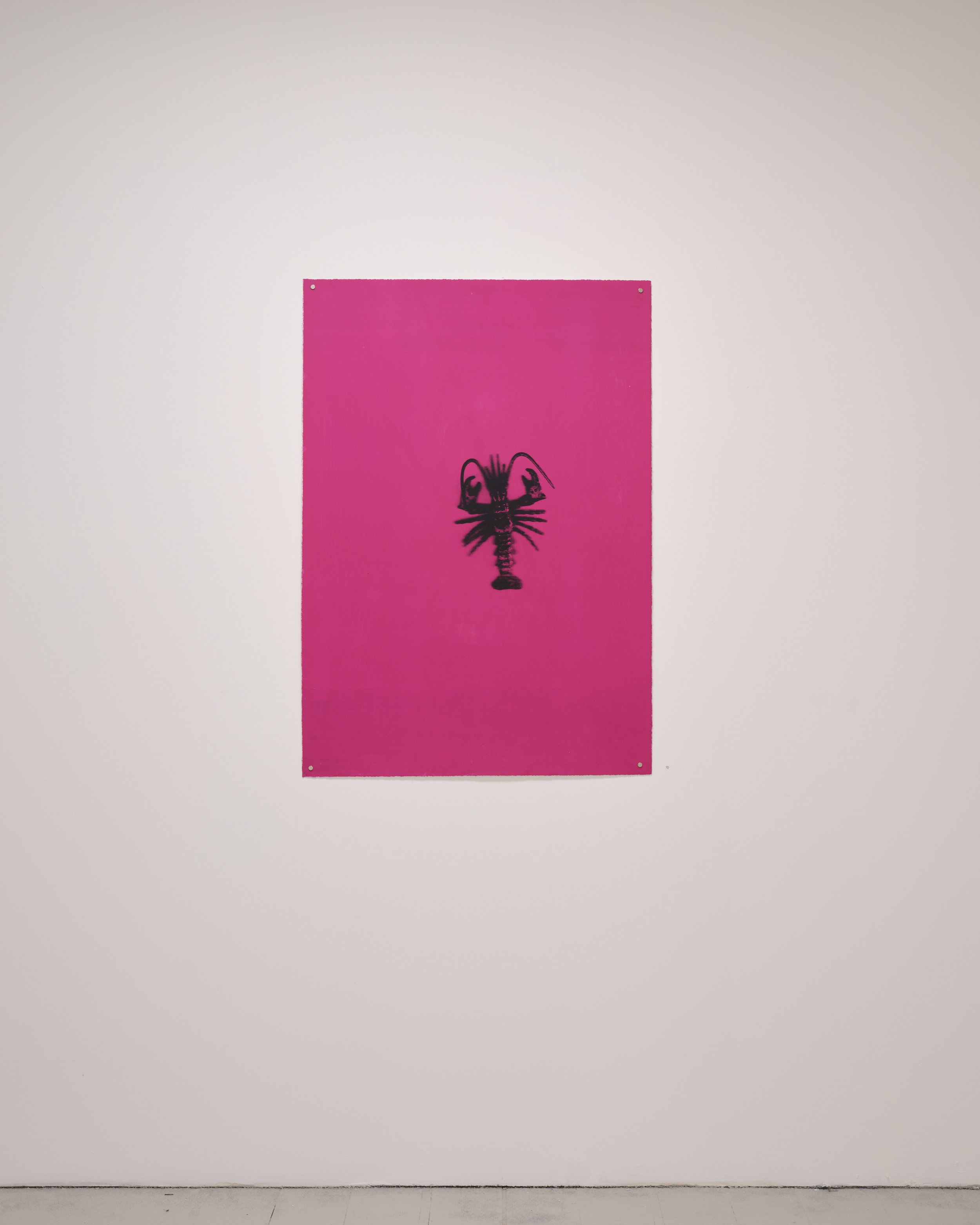 QSS Kathryn Graham pink scorpio.jpg