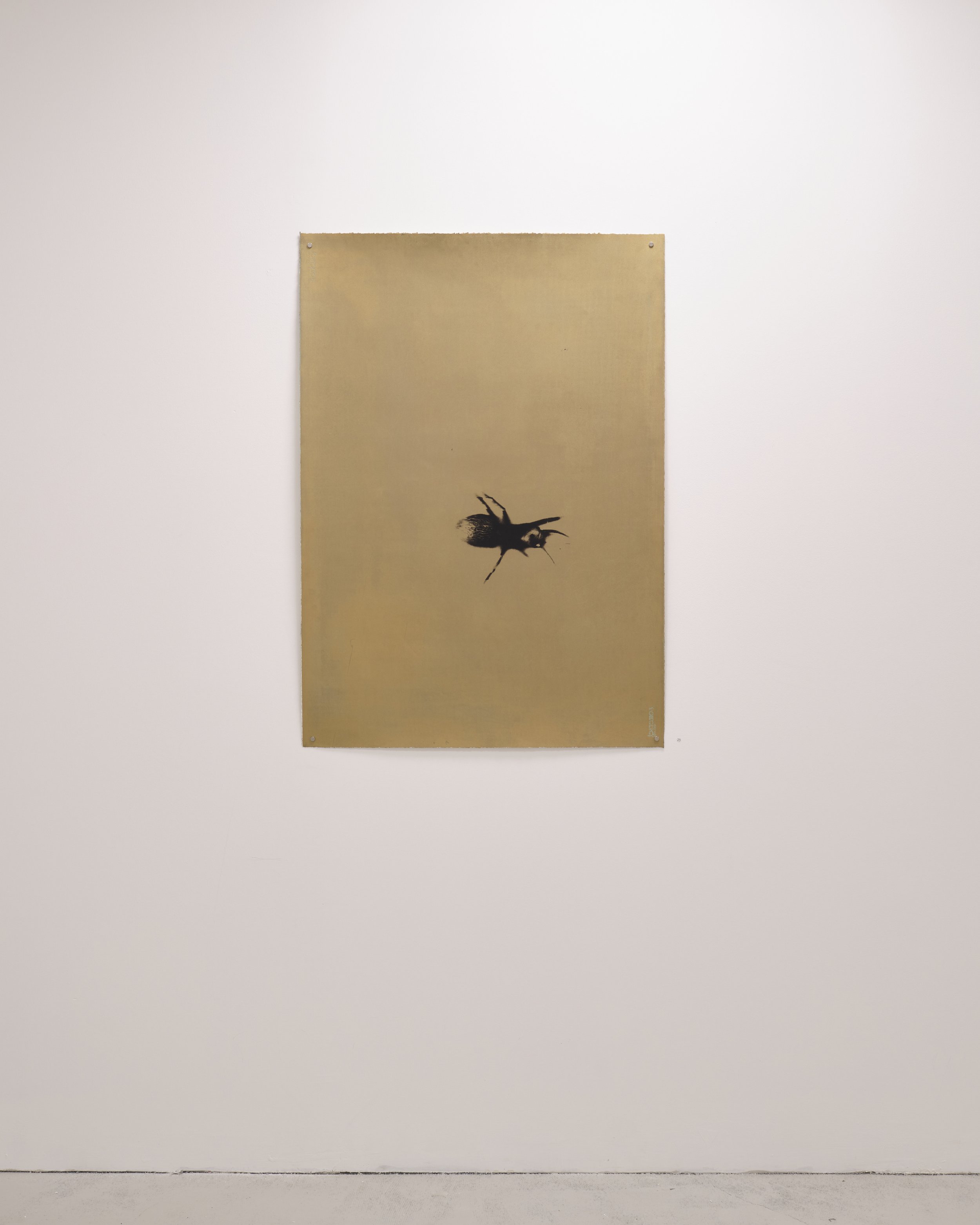 QSS Kathryn Graham gold spider.jpg