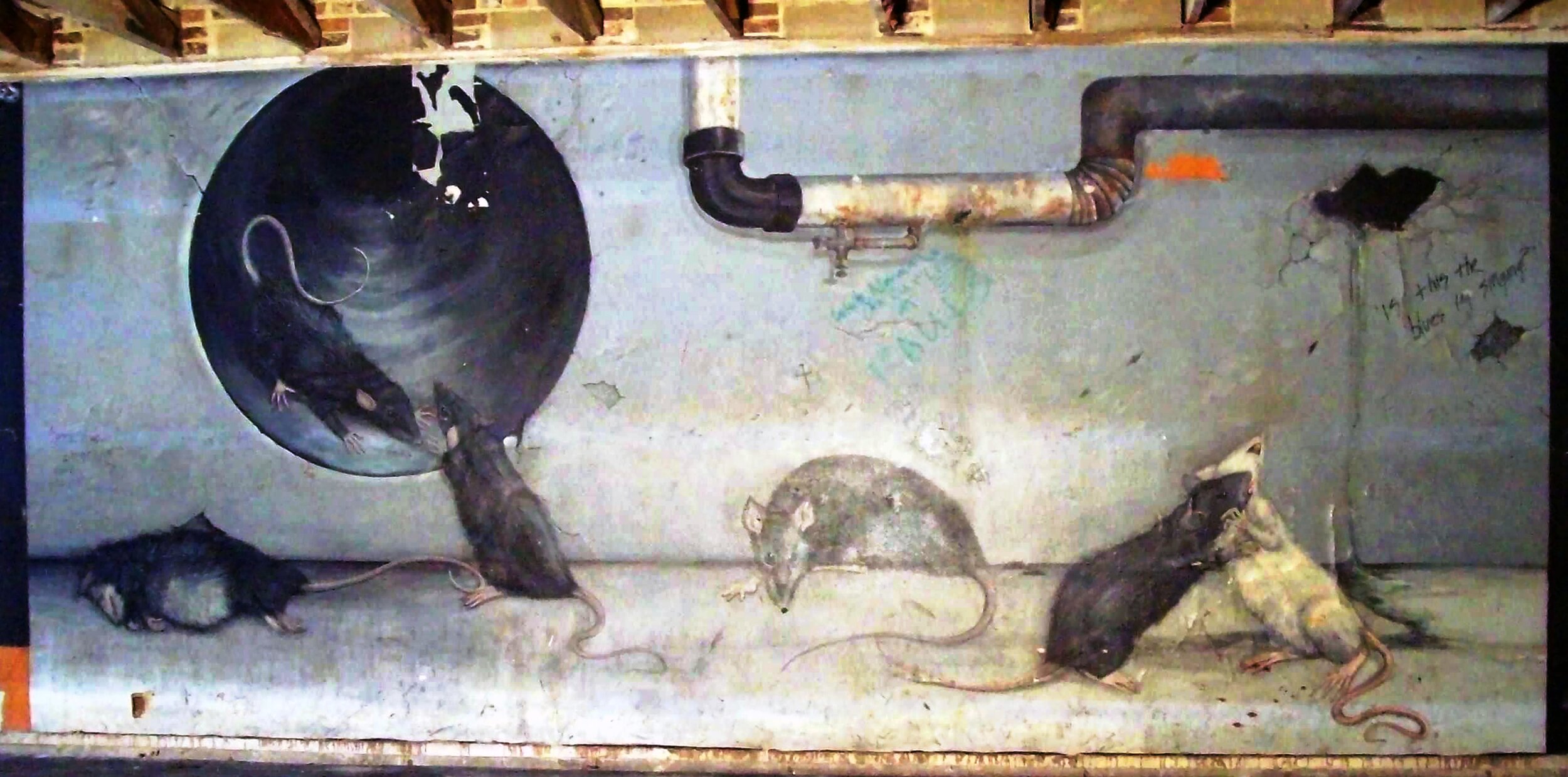 Restored Rat Mural 2008.jpg