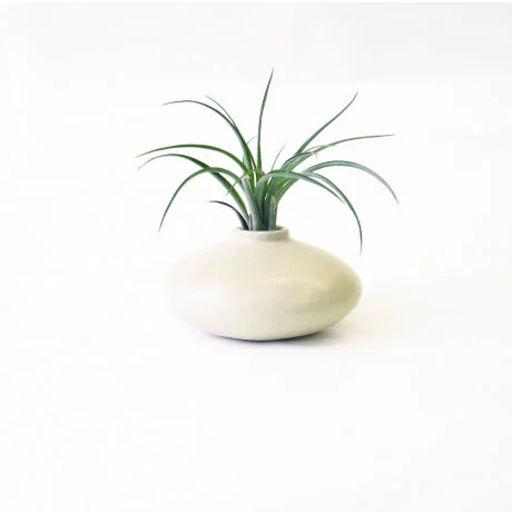 Flower-Pod-white-glazedA_M.jpg