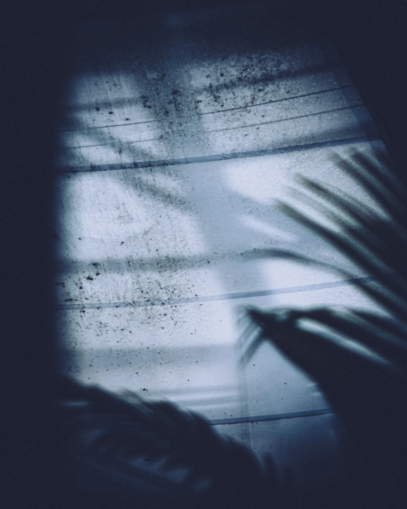 insidethegreenhouse.jpg