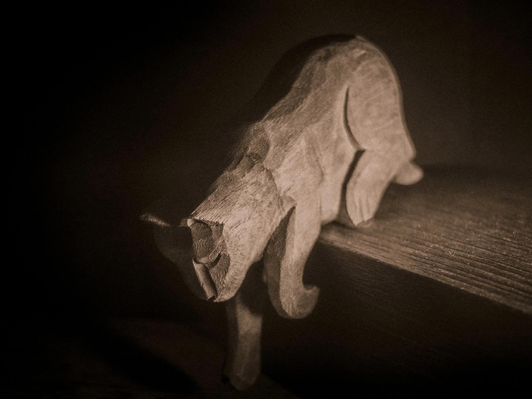 catsinthedark.jpg