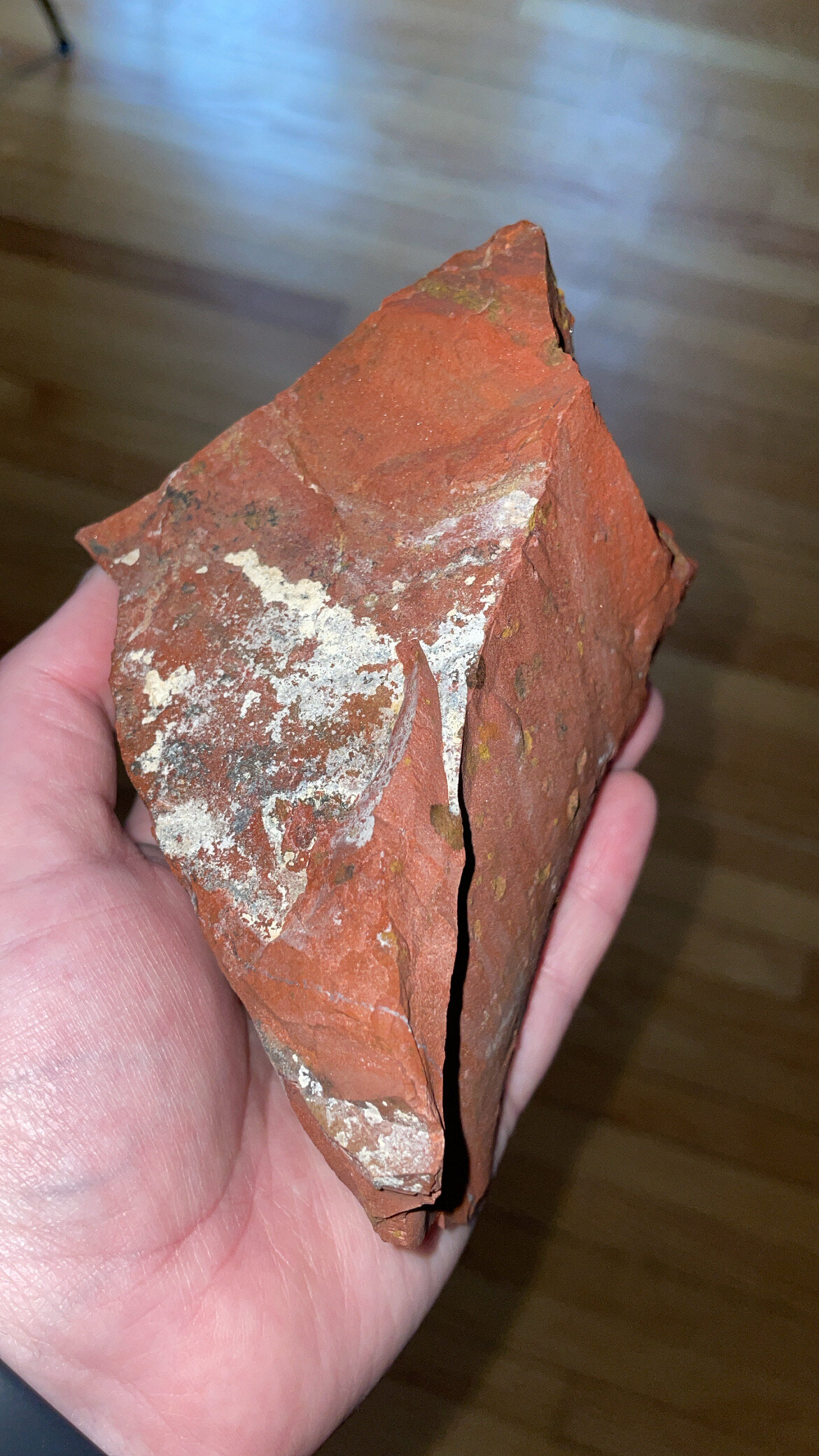 2539F266-98AF-4283-B8FB-BD4B8AA3CA2B