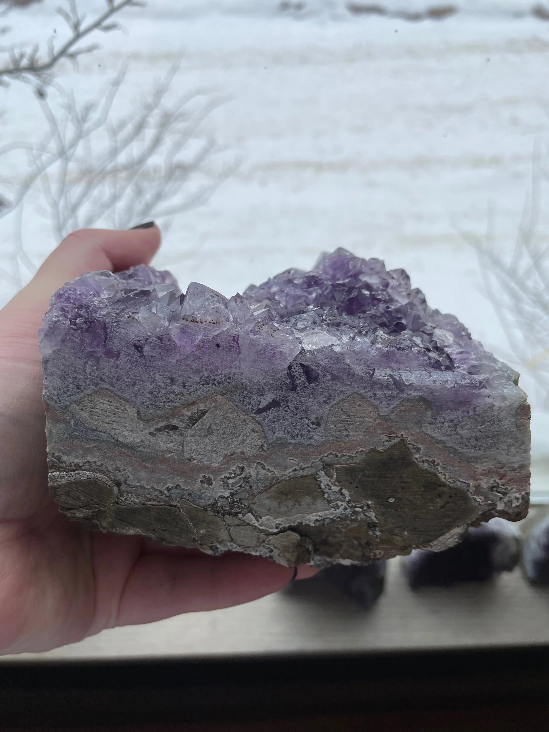 50B1AF2A-22C9-4078-8C91-51C32D4FF35F