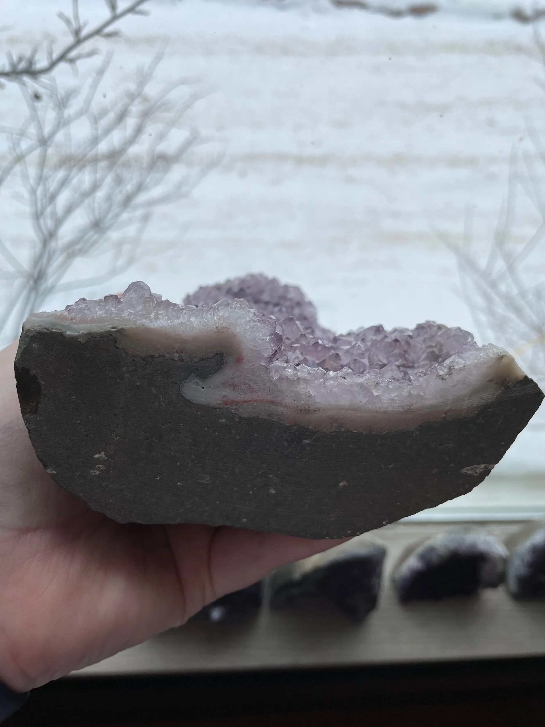 36410452-37F9-4BA3-A175-32FA77EC625C