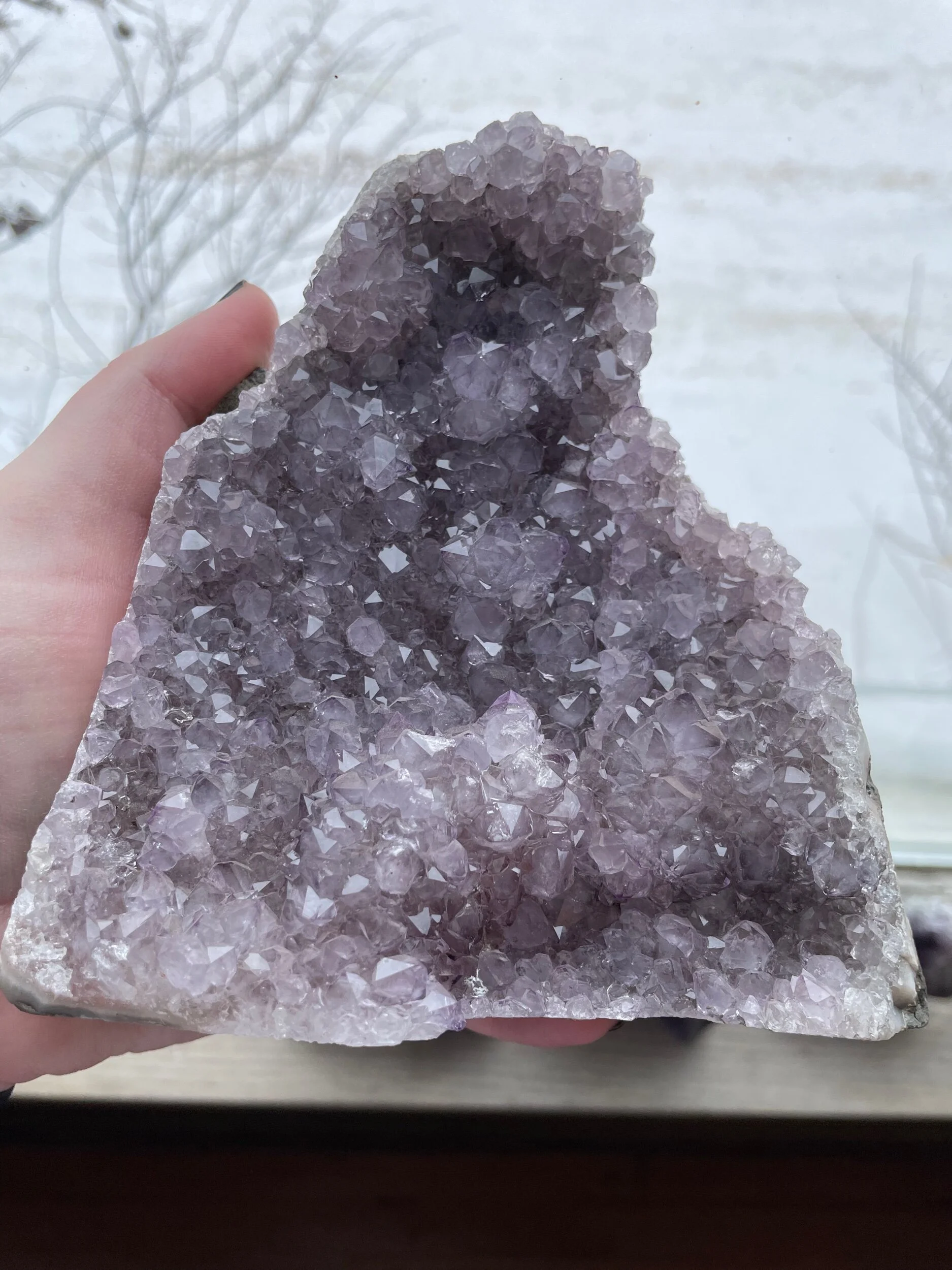 0FF16211-82EC-482B-8233-4246AE362B50