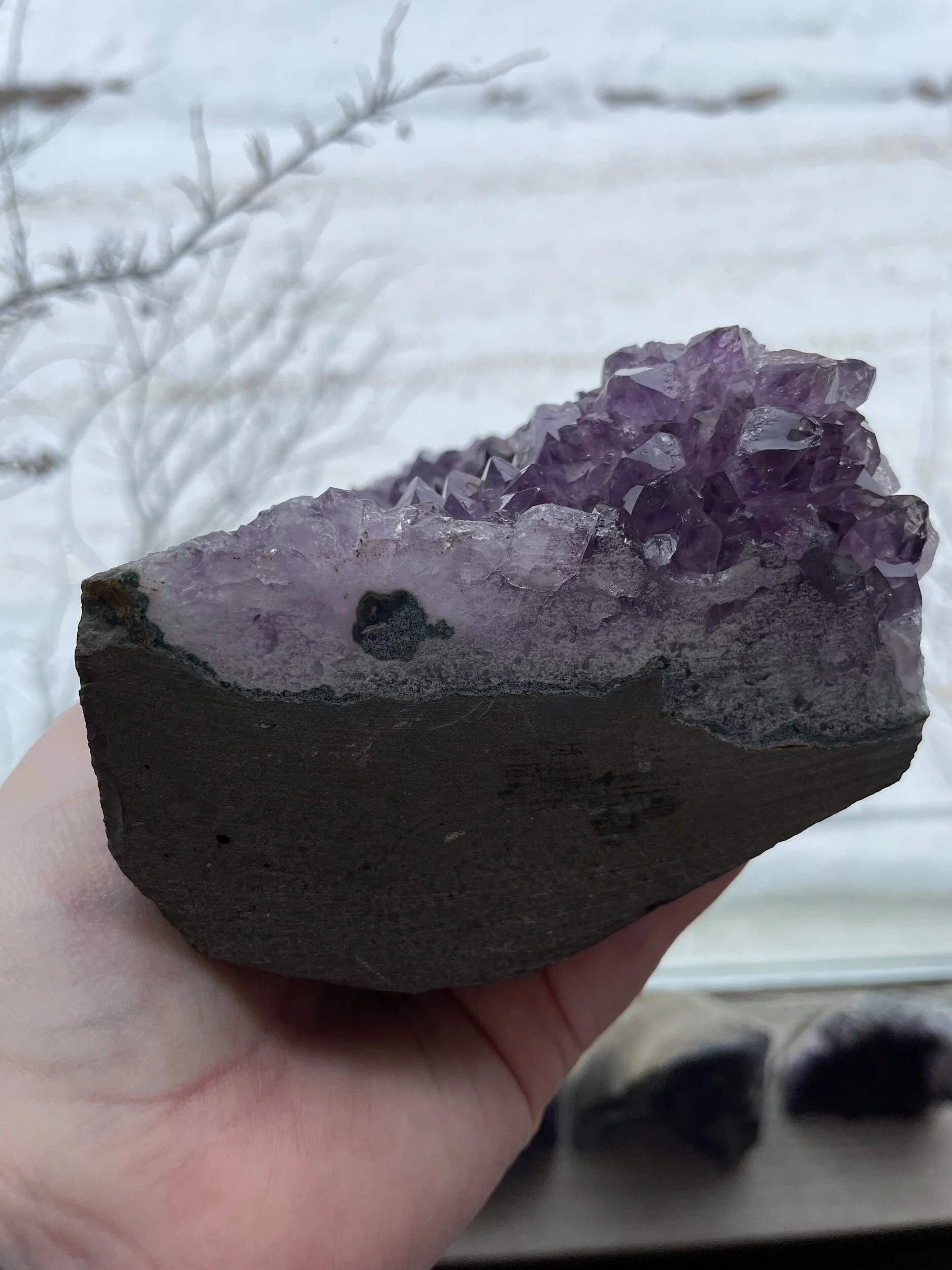 E8611EB9-F6A8-444F-85B6-C2EC08B511F5